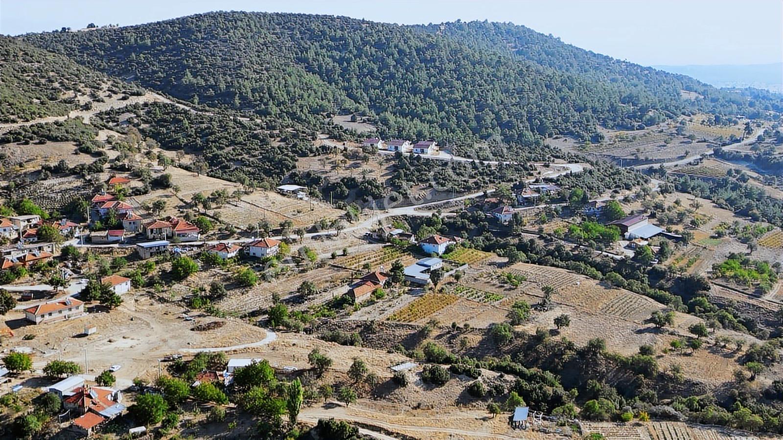 Afyon Dazkırında Köy İçinde Yolu Olan Tarla - Görsel 24