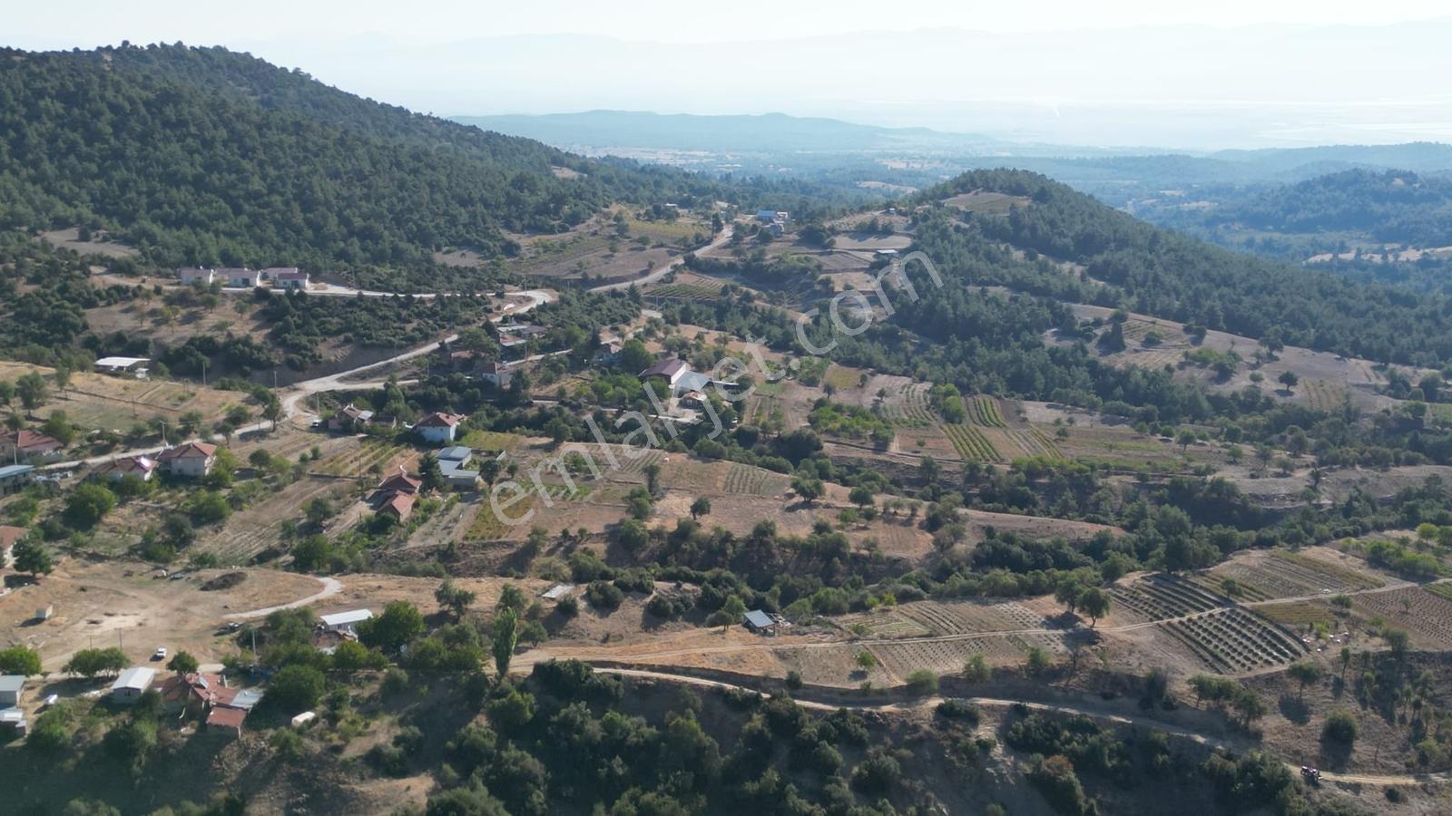 Afyon Dazkırında Köy İçinde Yolu Olan Tarla - Görsel 14