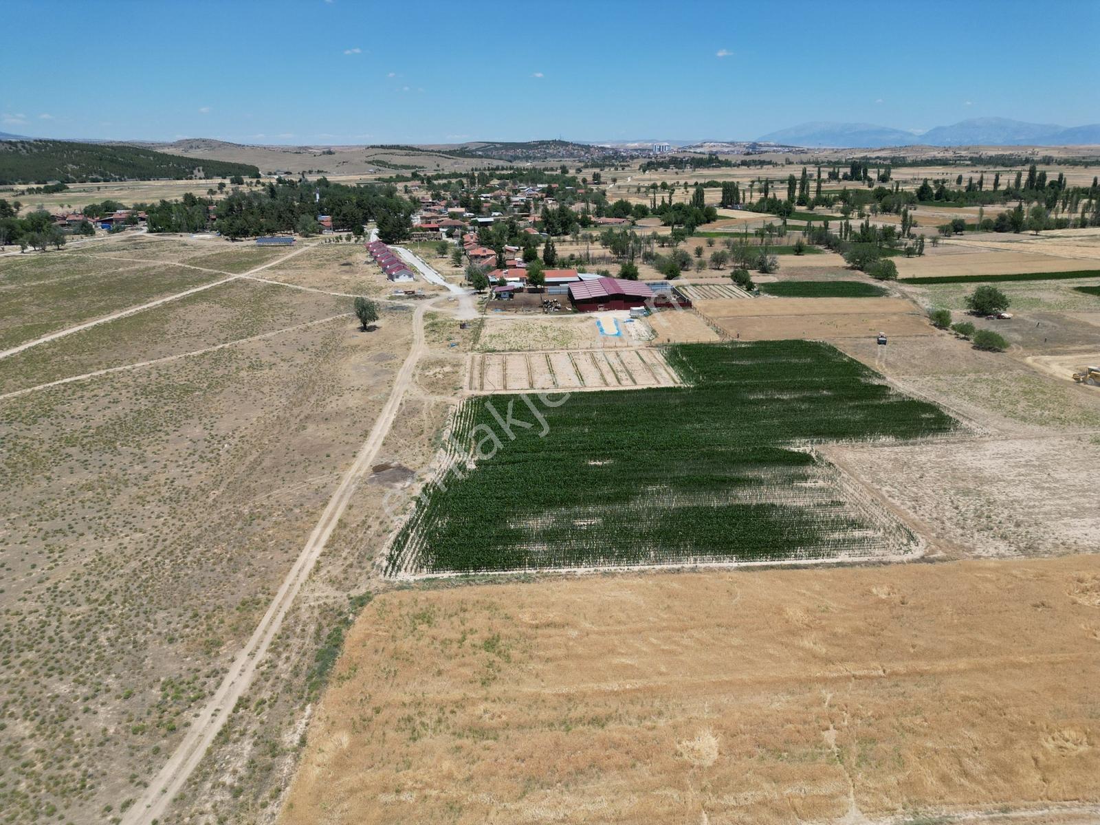 Afyon Dazkırında Uygun Fiyatlı Müstakil Parsel - Görsel 28