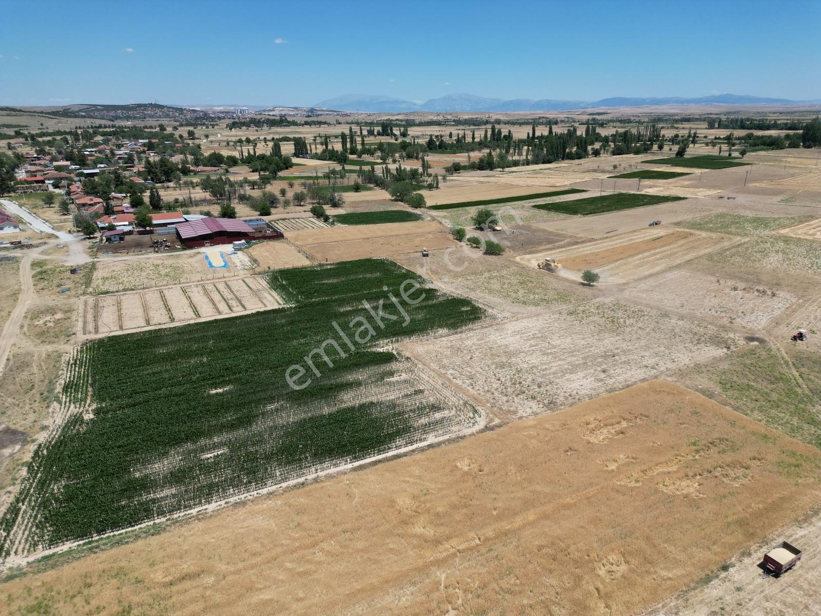 Afyon Dazkırında Uygun Fiyatlı Müstakil Parsel - Görsel 14