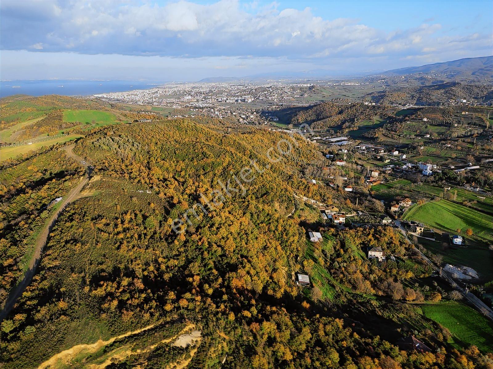 Yalova Termal Akköyde Çok Uygun Fiyatlı Yola Cepheli Arsa - Görsel 6