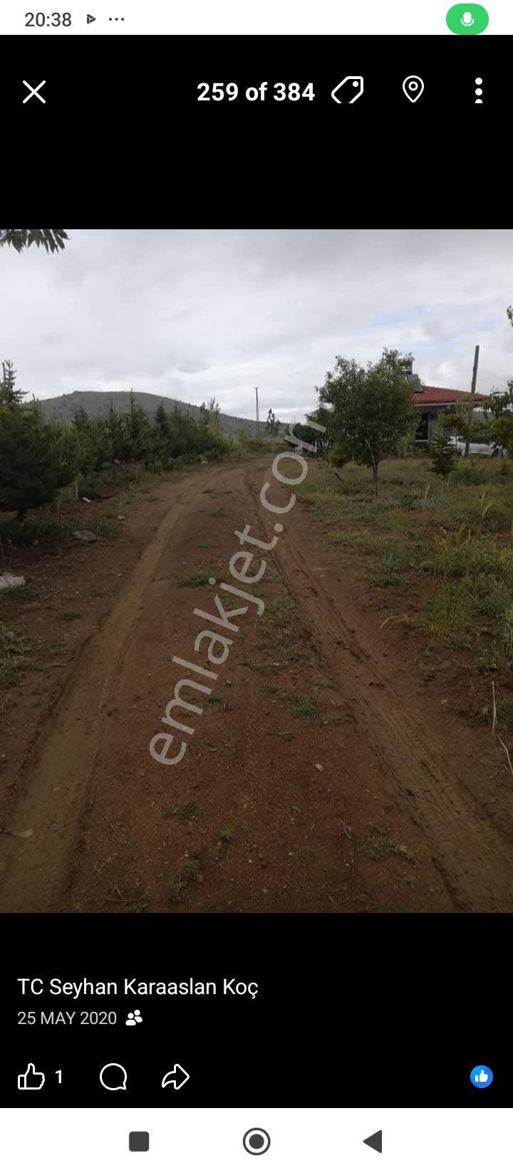 Elazığ Sivrice Gözeli Köyünde Yola Sıfır Bahçe Ve Ev - Görsel 3