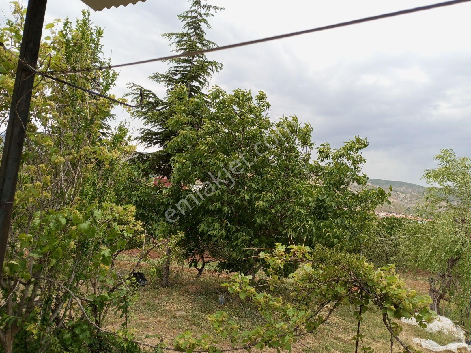 Elazığ Sivrice Gözeli Köyünde Yola Sıfır Bahçe Ve Ev - Görsel 10