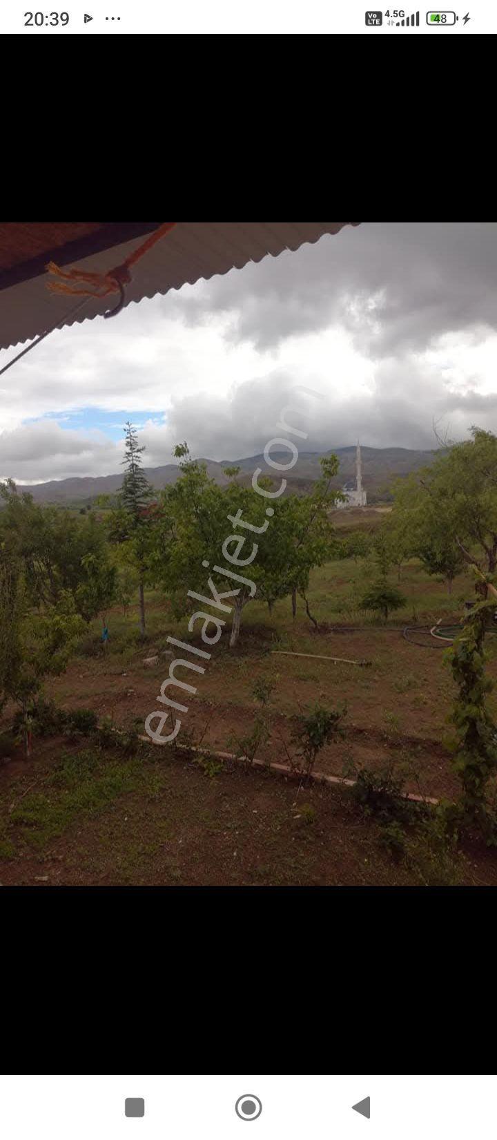Elazığ Sivrice Gözeli Köyünde Yola Sıfır Bahçe Ve Ev - Görsel 6