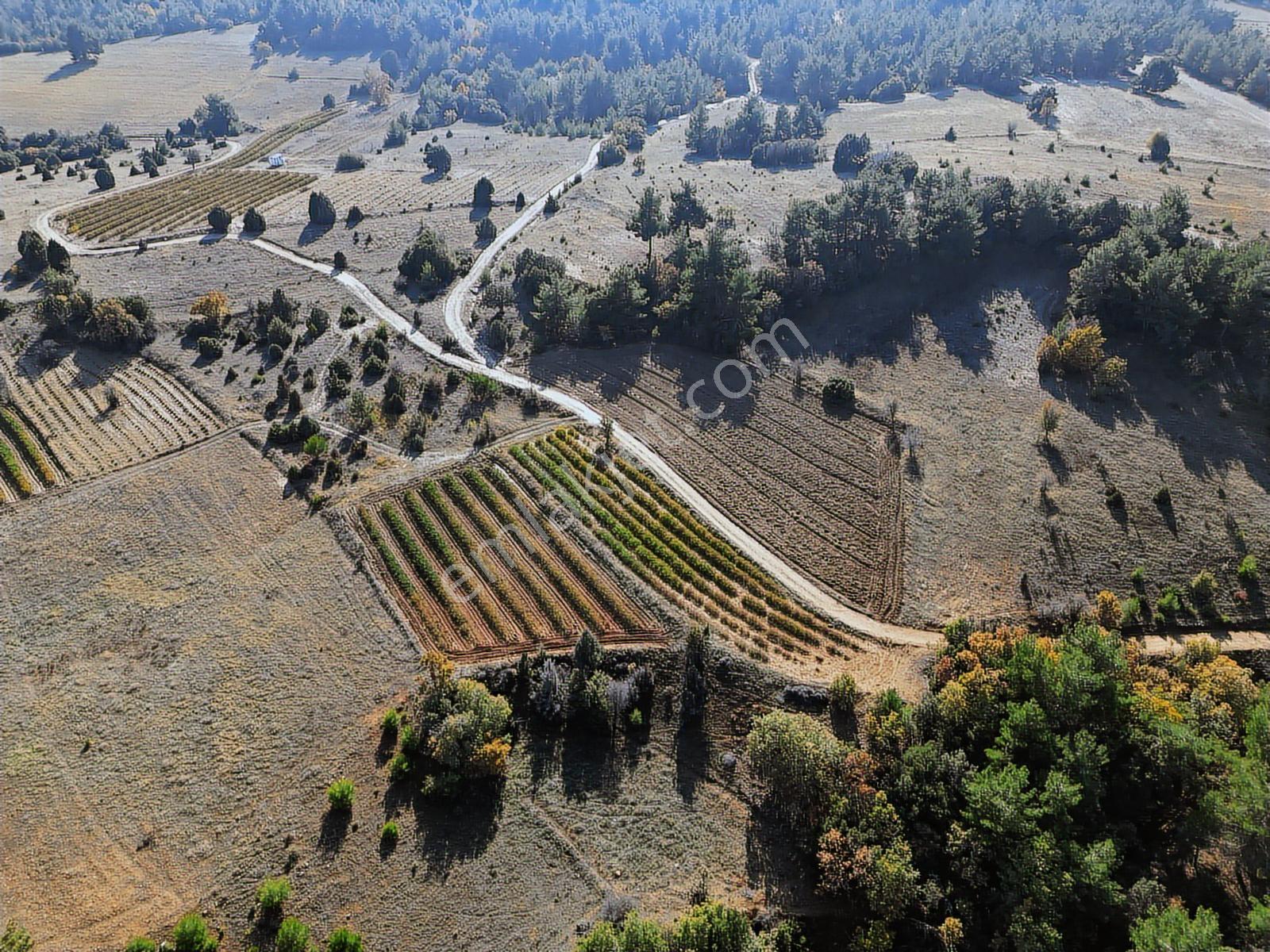 Afyon Dazkırında 3.o91 M2 Tek Tapu Yola Cepheli Arzimiz Satılık - Görsel 15