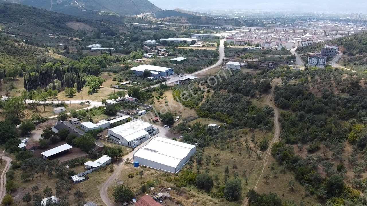 Demirtaş Barbaros Fırsat Arsa - Görsel 8