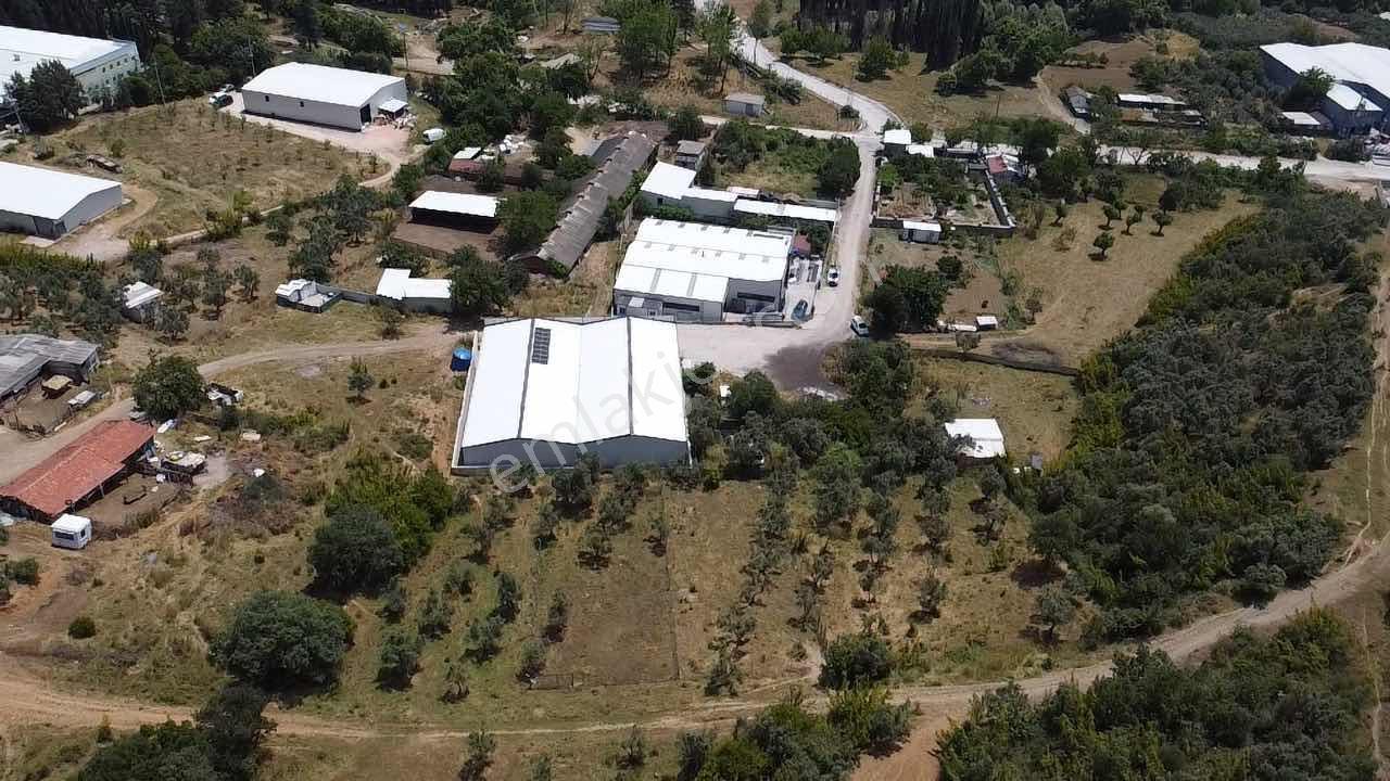 Demirtaş Barbaros Fırsat Arsa - Görsel 12