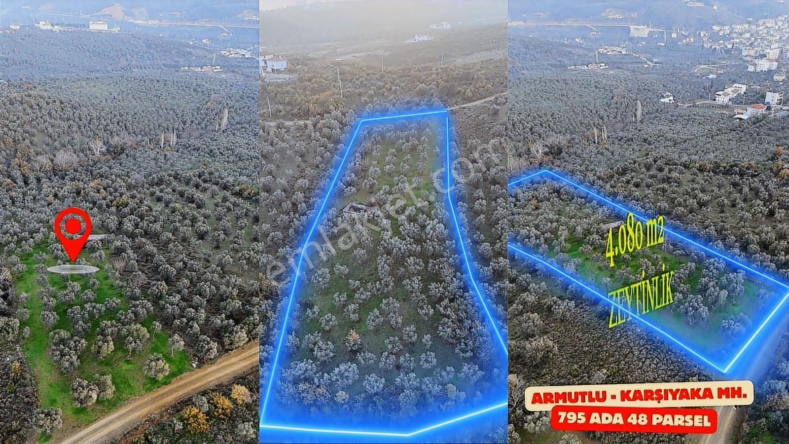 Ay Emlak'tan Konut İmar Sınırına 30 Metre Mesafede Zeytinlik - Görsel 16