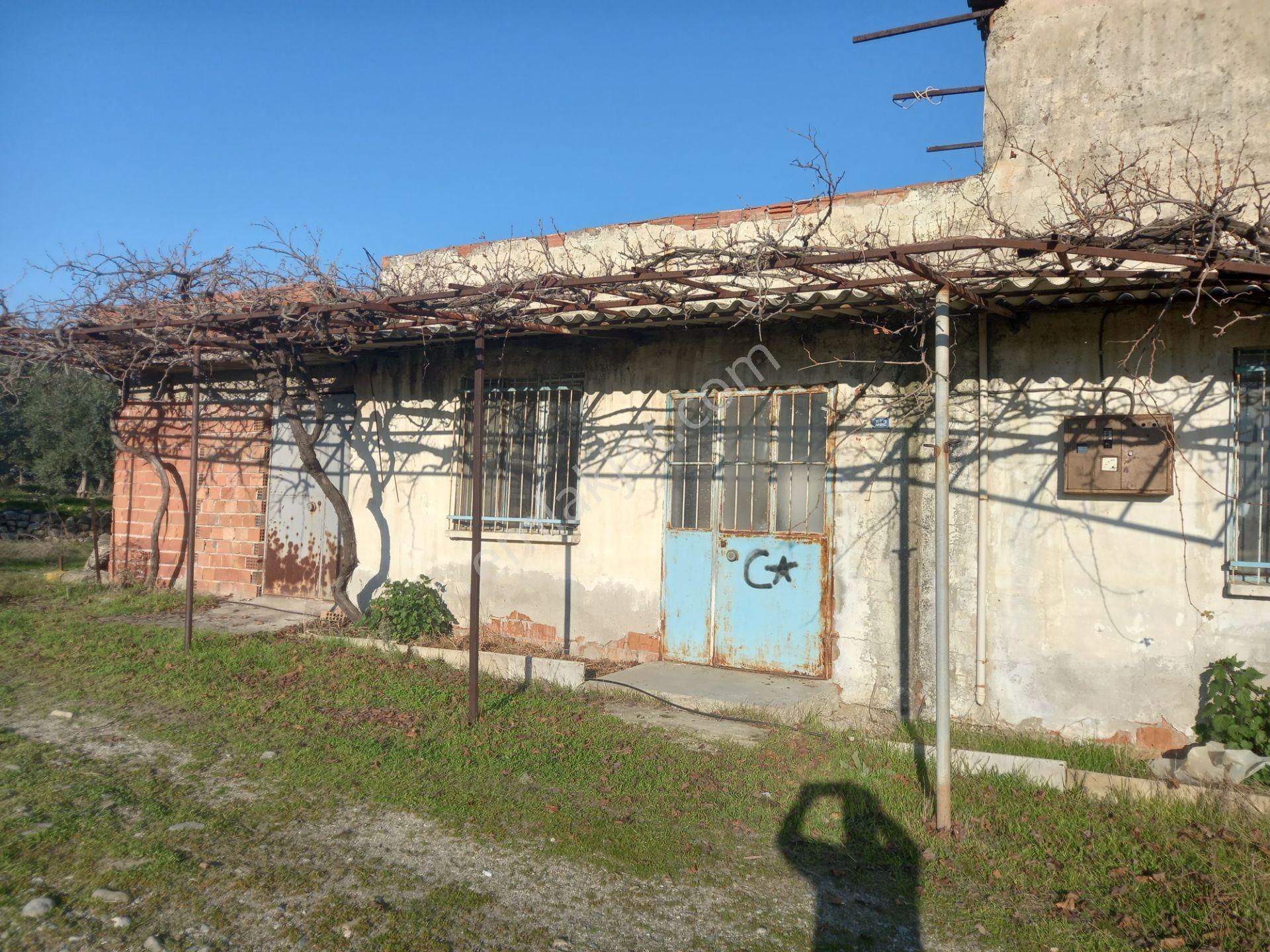 Buharkent Ortakçı Mahallesi'nde 7000 M² Satılık İşletme Zeytinlik - Görsel 14