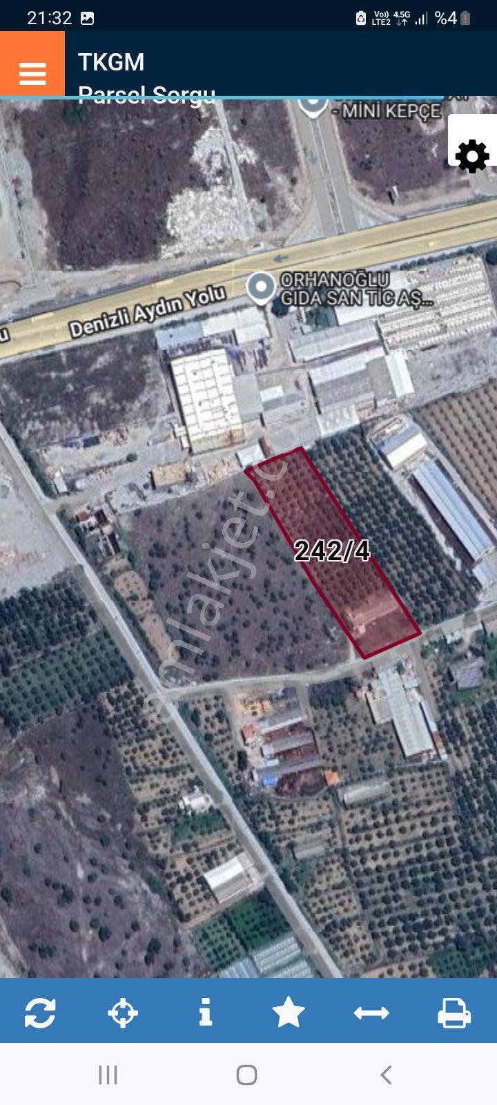 Buharkent Ortakçı Mahallesi'nde 7000 M² Satılık İşletme Zeytinlik - Görsel 4