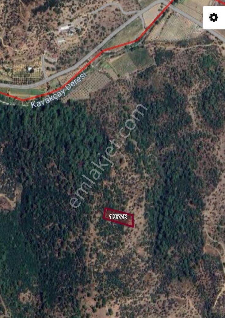Seferihisar Orhanlı Satılık 3,281m² Zeytin Ağaçlı Tarla - Görsel 3