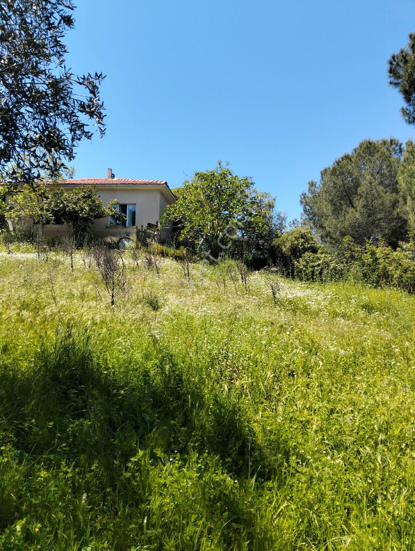 İzmir Dikilide 585 Mk. ℅60 İmarlı Arsa - Görsel 3