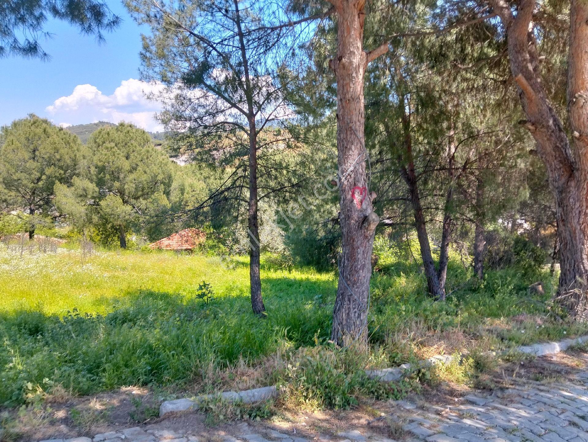 İzmir Dikilide 585 Mk. ℅60 İmarlı Arsa - Görsel 2