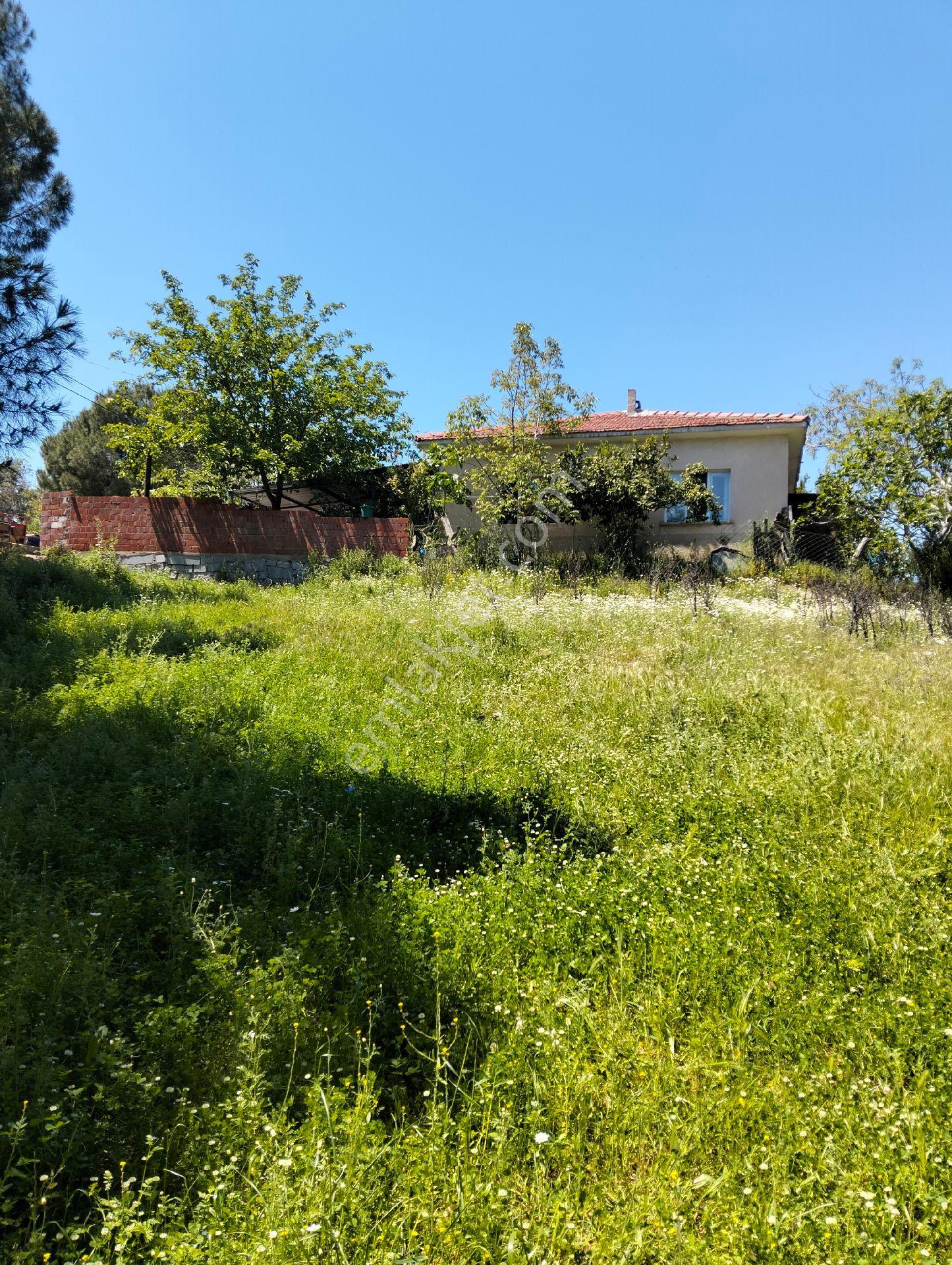 İzmir Dikilide 585 Mk. ℅60 İmarlı Arsa - Görsel 4