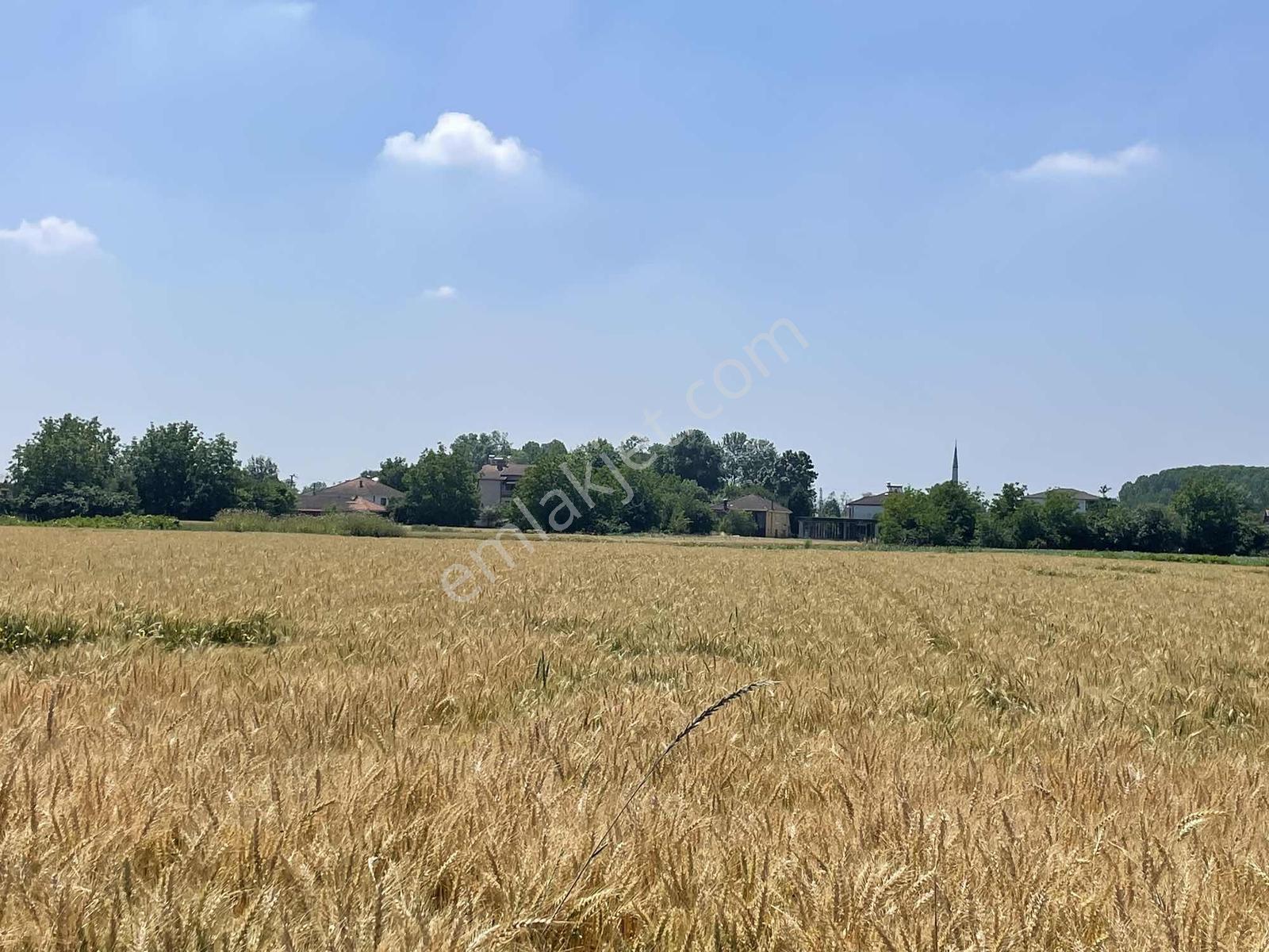Adapazarı Rüstemlerde 1060m2 Yola Cepheli Fırsat - Görsel 6