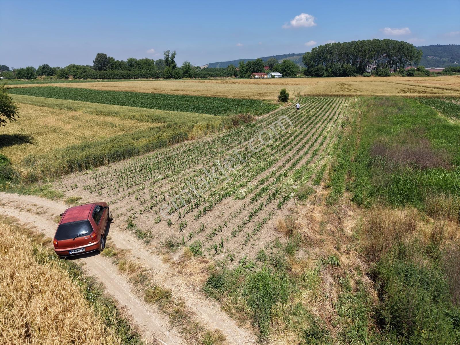 Adapazarı Rüstemlerde 1060m2 Yola Cepheli Fırsat