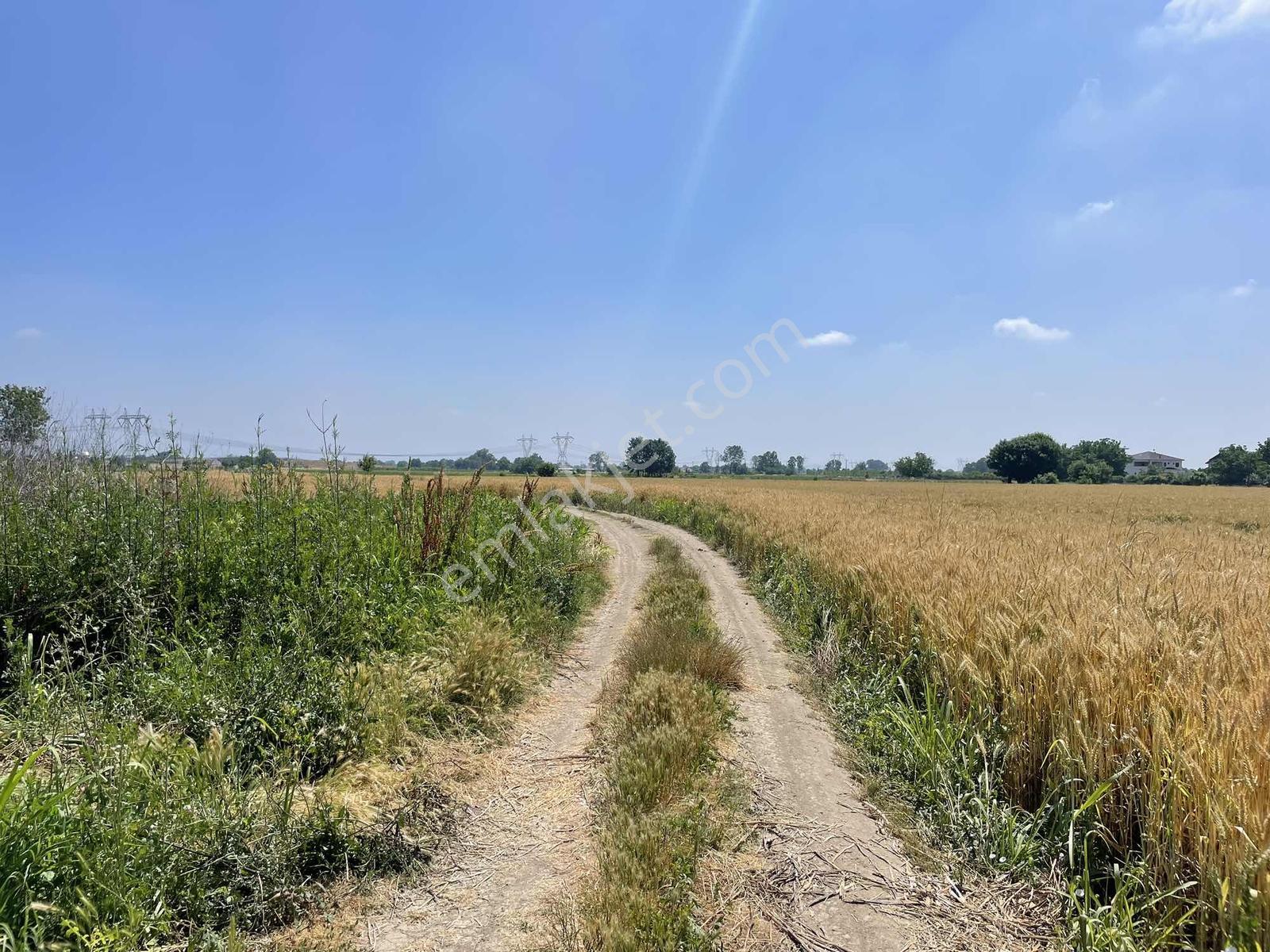 Adapazarı Rüstemlerde 1060m2 Yola Cepheli Fırsat - Görsel 9