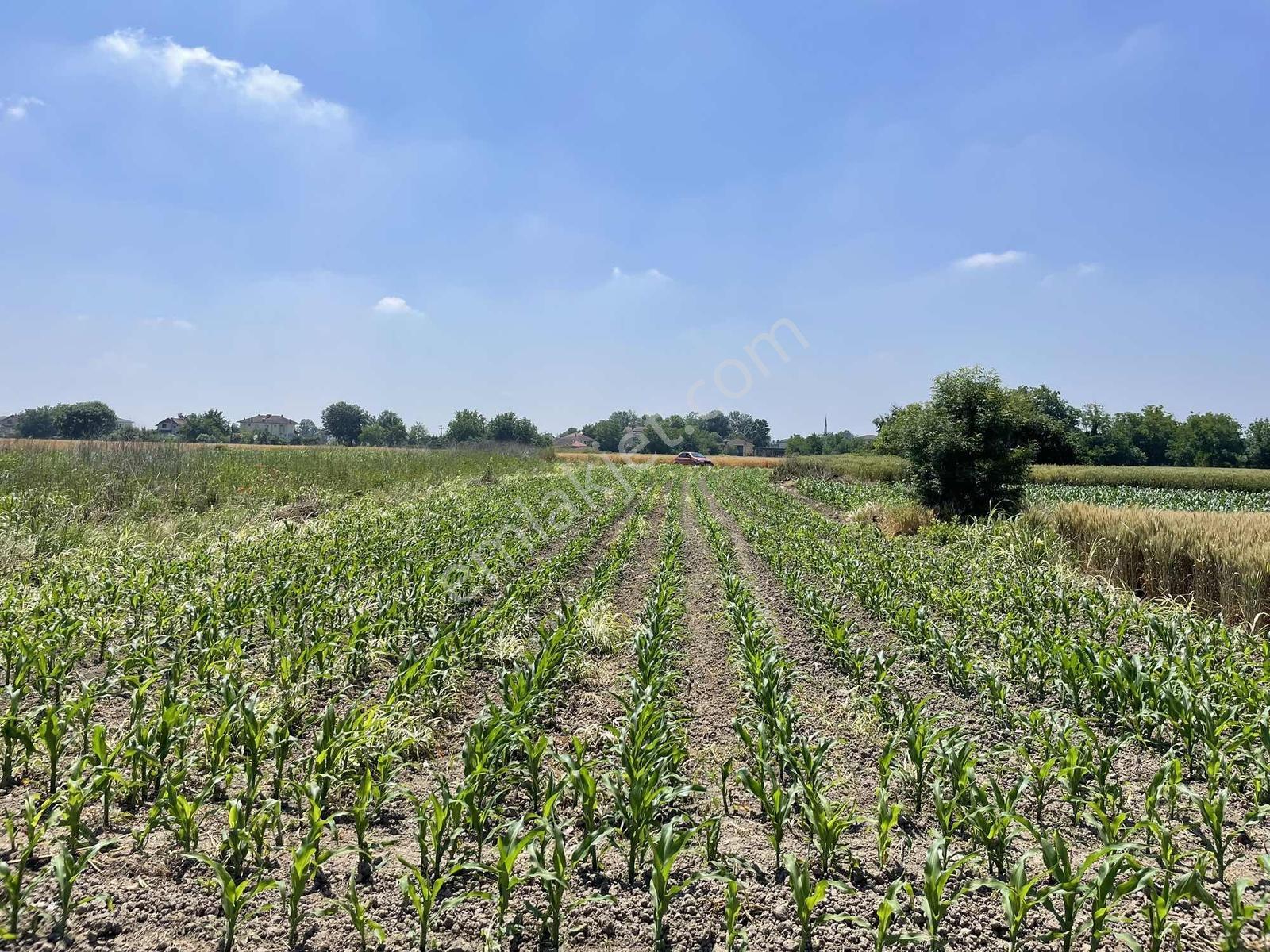 Adapazarı Rüstemlerde 1060m2 Yola Cepheli Fırsat - Görsel 21