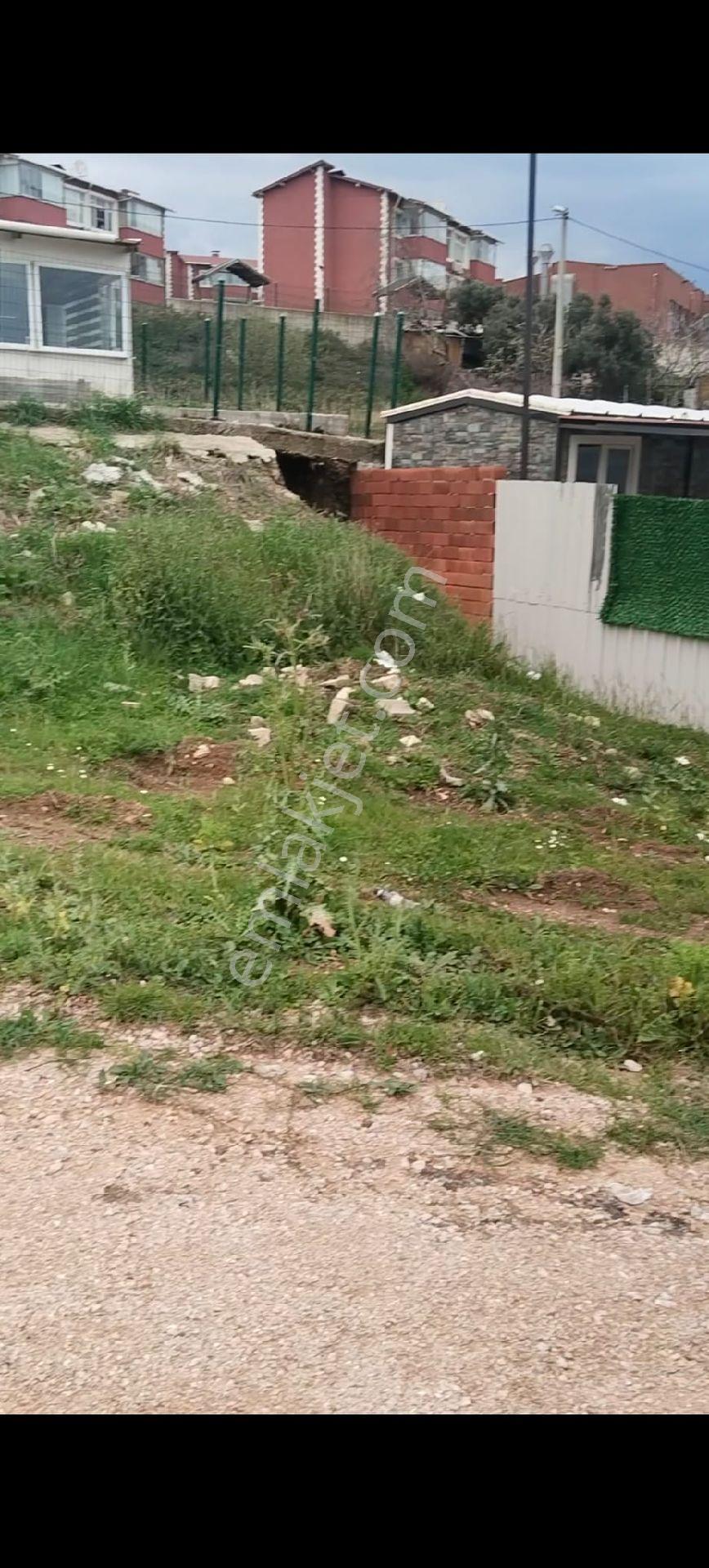 Bandırma Ayyıldızda - Görsel 2