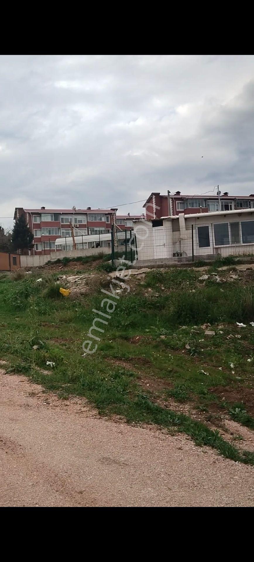 Bandırma Ayyıldızda - Görsel 8