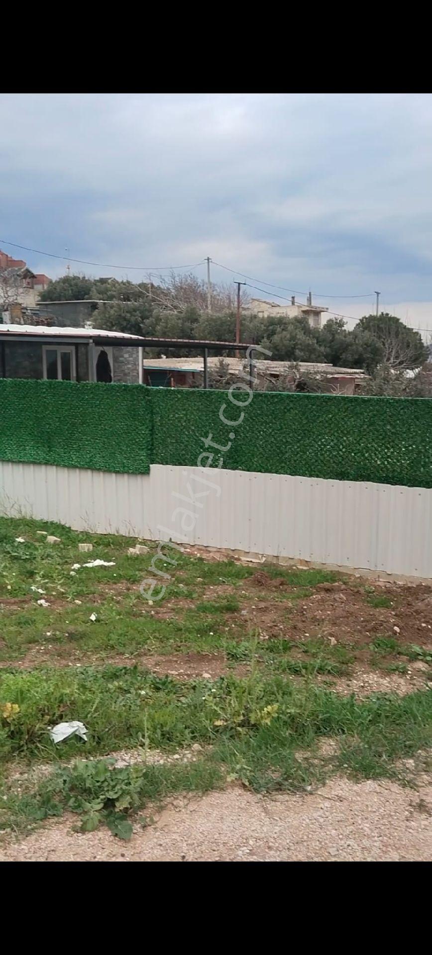 Bandırma Ayyıldızda