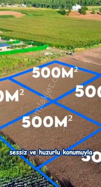 *çukurova *salbaş *pirili *mevkinde Satılık 500er M2** Hobi Bahçe*leri.video Bak - Görsel 7