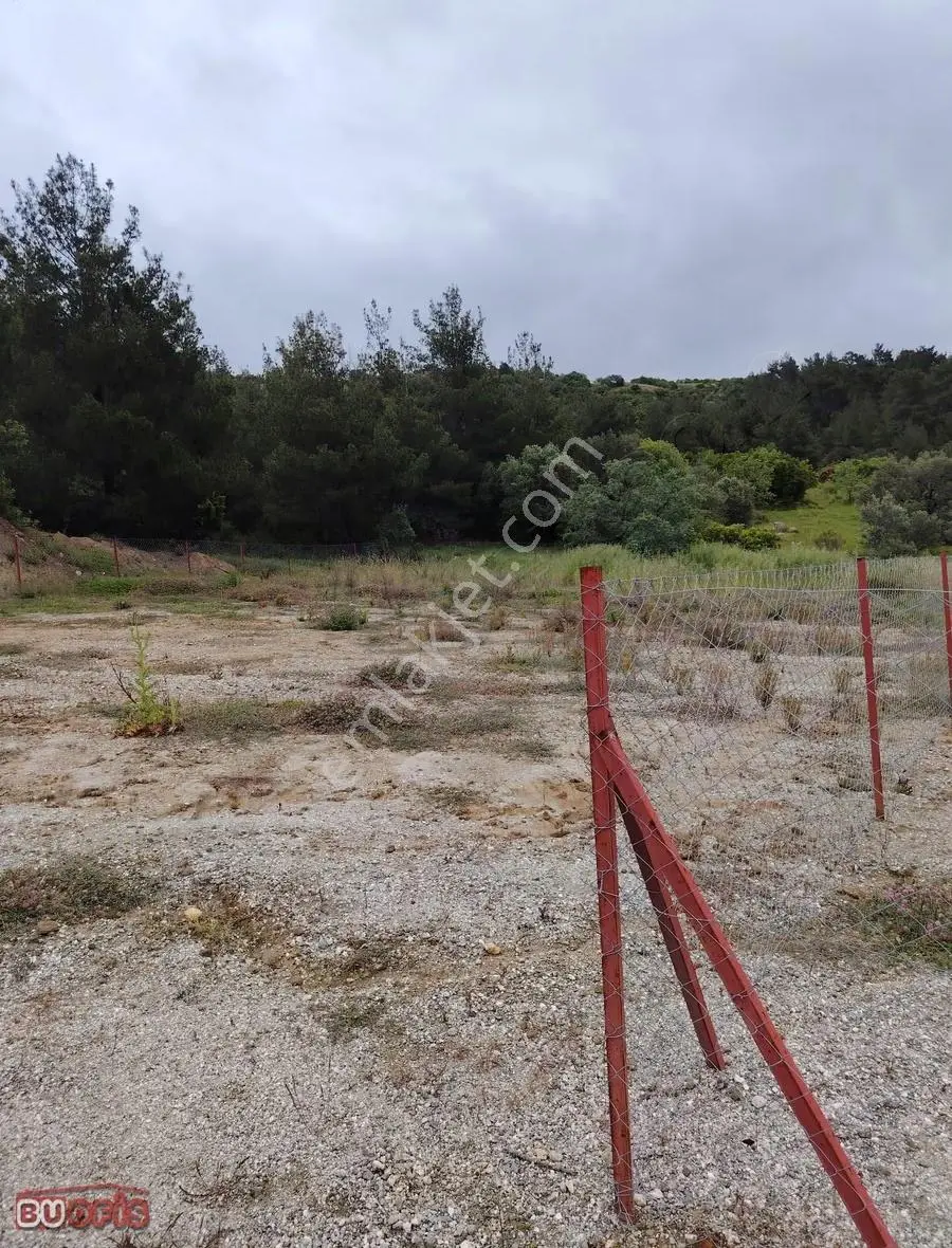 Görece'de Satılık Tarla Hissesi: 816m², Manzaralı, Yatırımlık! - Görsel 3