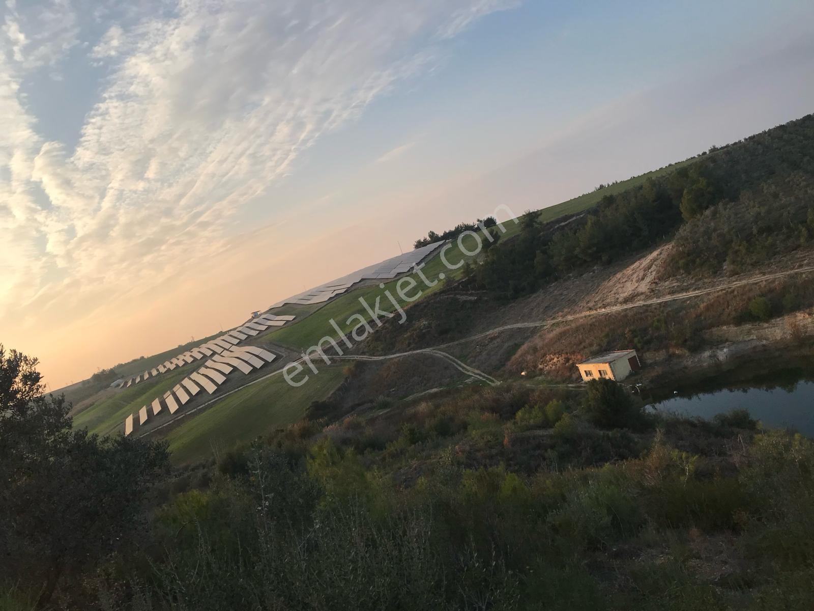 Sarıçam Avcılar 95dönüm Tarla Damlama Sistemi Hidrofor Gübre Tankı Elektrik Yol Su Etrafı Çevrili - Görsel 3
