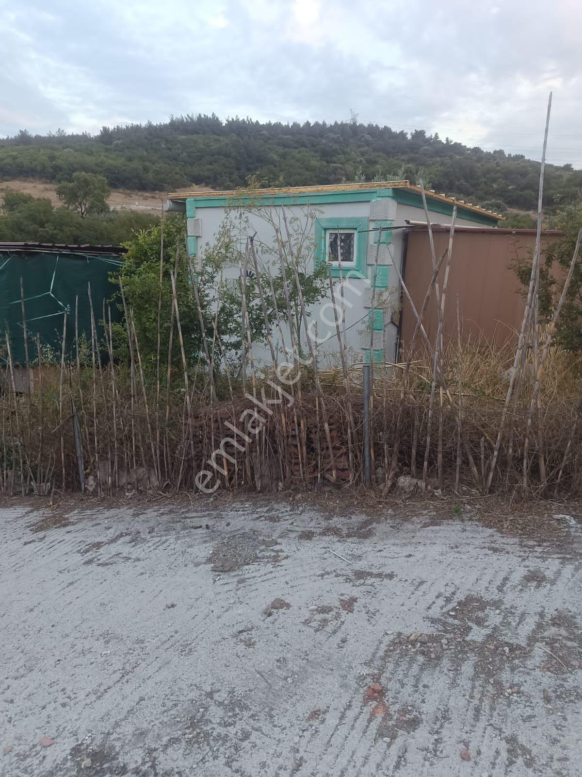 Aliağa Bozköy De Müstakil Ev İçin İdeal Arsa - Görsel 17