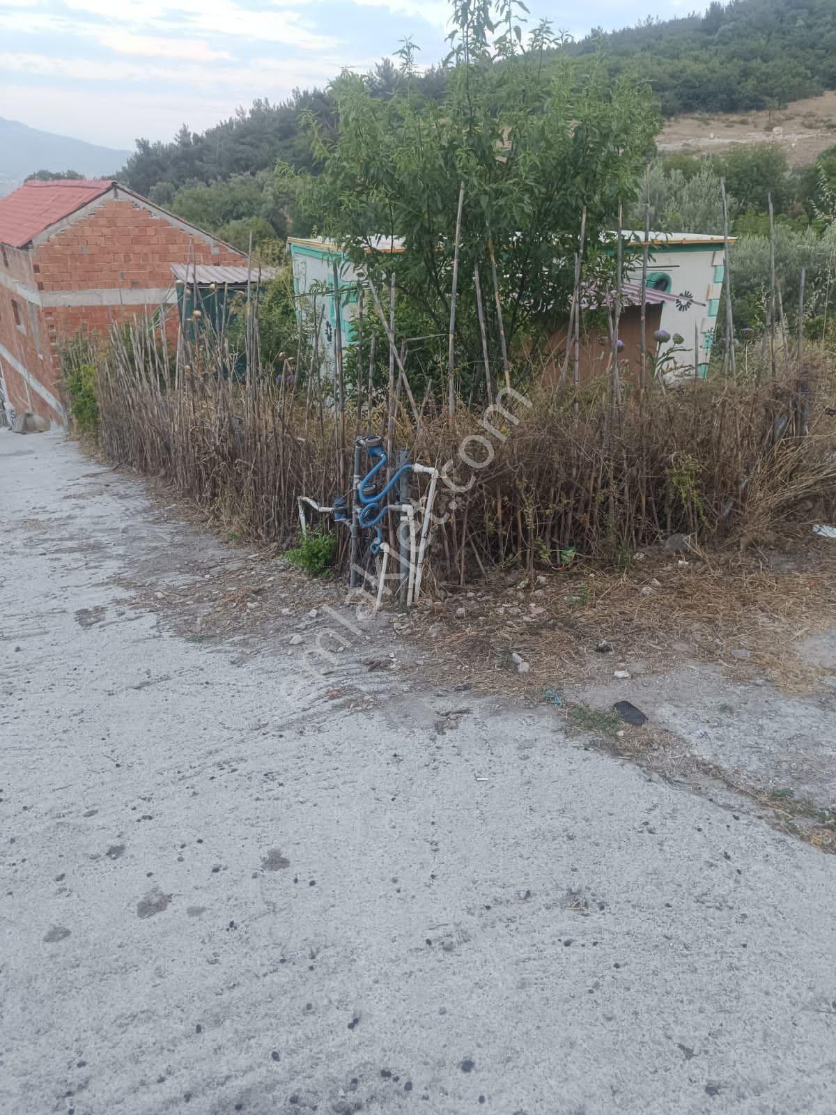 Aliağa Bozköy De Müstakil Ev İçin İdeal Arsa - Görsel 18
