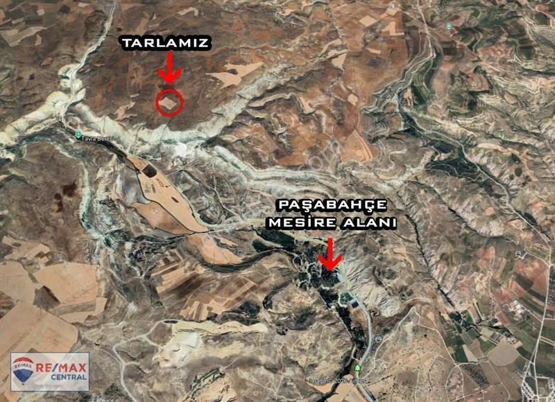 Re/max Central'dan Bademkaya Köyünde 32.000 M2 Tek Tapu Tarla