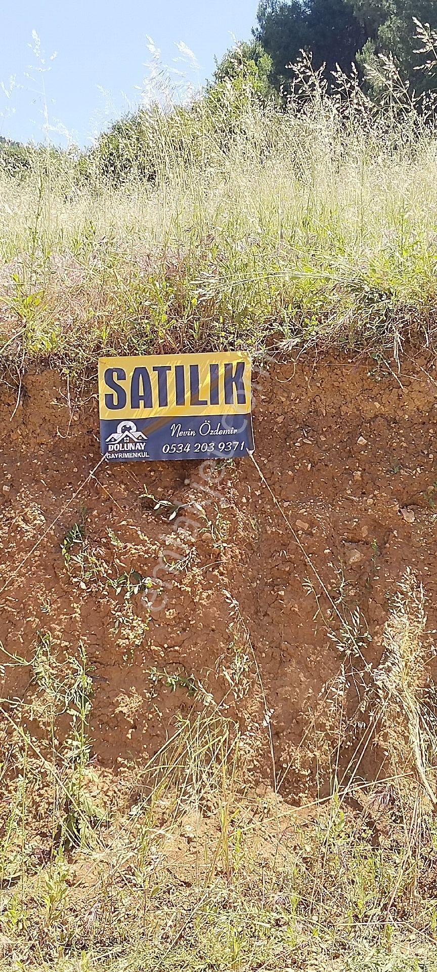 Bursa İznik Kaynarca Köyünde Yatırımlık Tarla