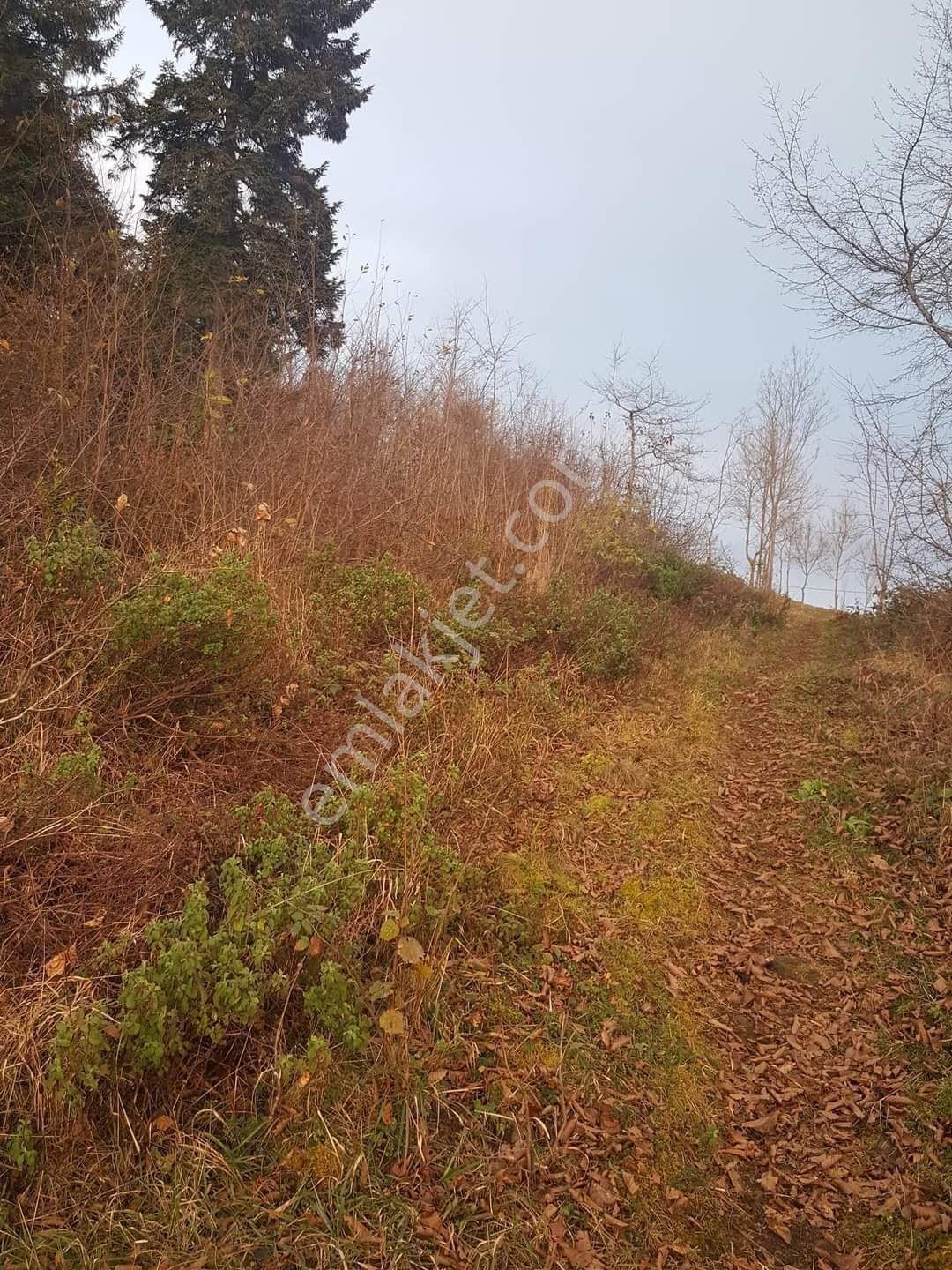 Trabzon Yeşilyurt Da Satılık 2.105 M2 Arazi - Görsel 6