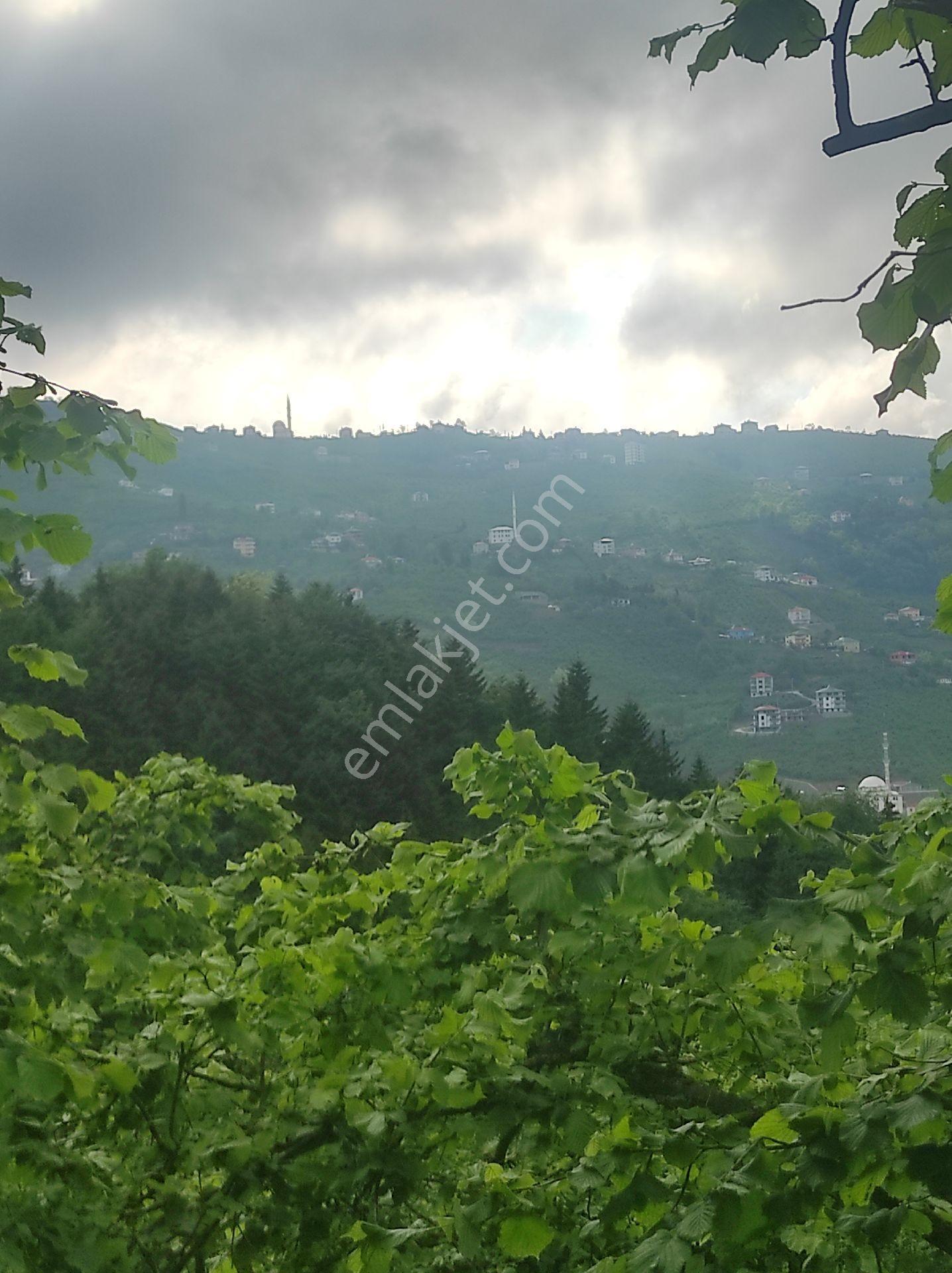 Trabzon Geçit Köyünde Satılık 1.320 M2 Arazi, - Görsel 33