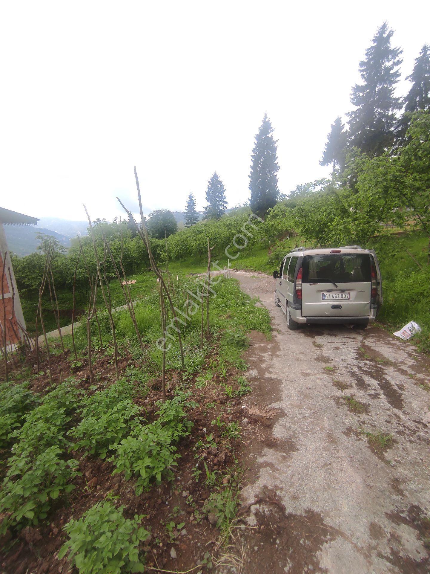 Trabzon Geçit Köyünde Satılık 1.320 M2 Arazi, - Görsel 30