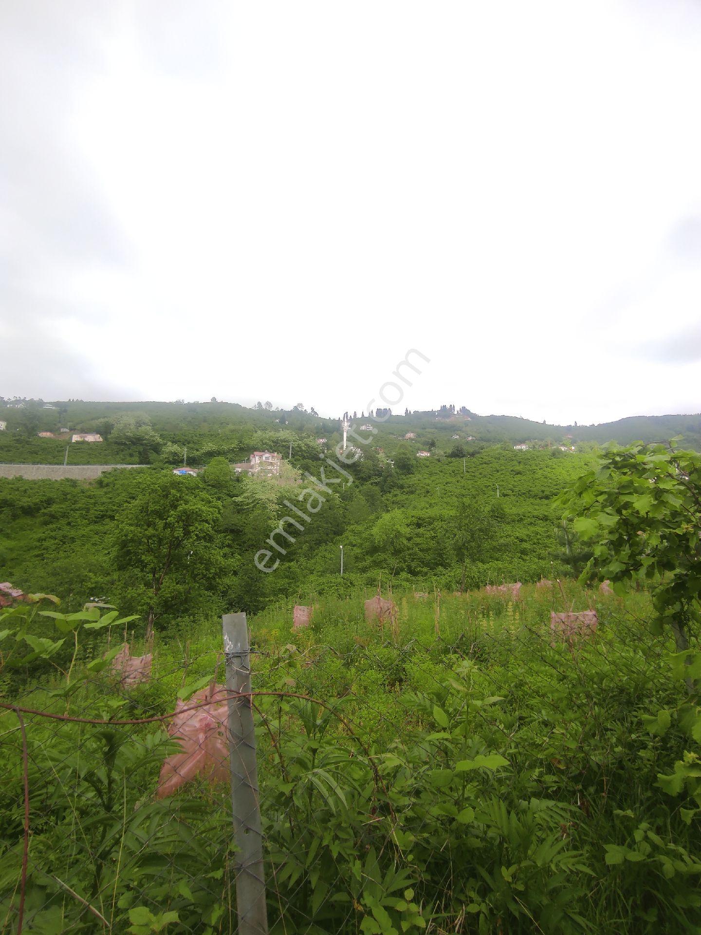 Trabzon Geçit Köyünde Satılık 1.320 M2 Arazi, - Görsel 11