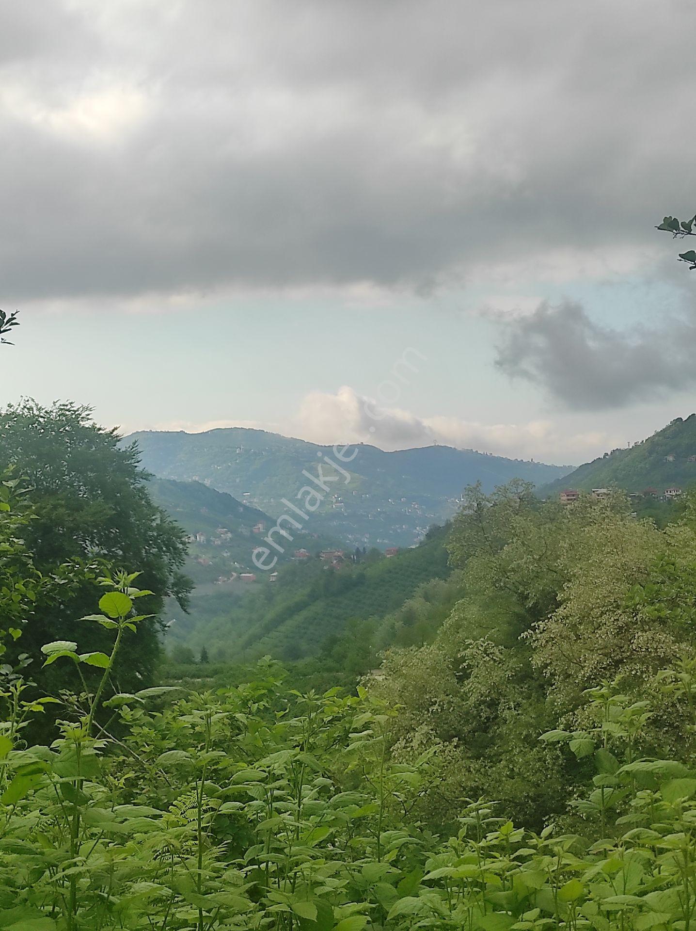 Trabzon Geçit Köyünde Satılık 1.320 M2 Arazi, - Görsel 18