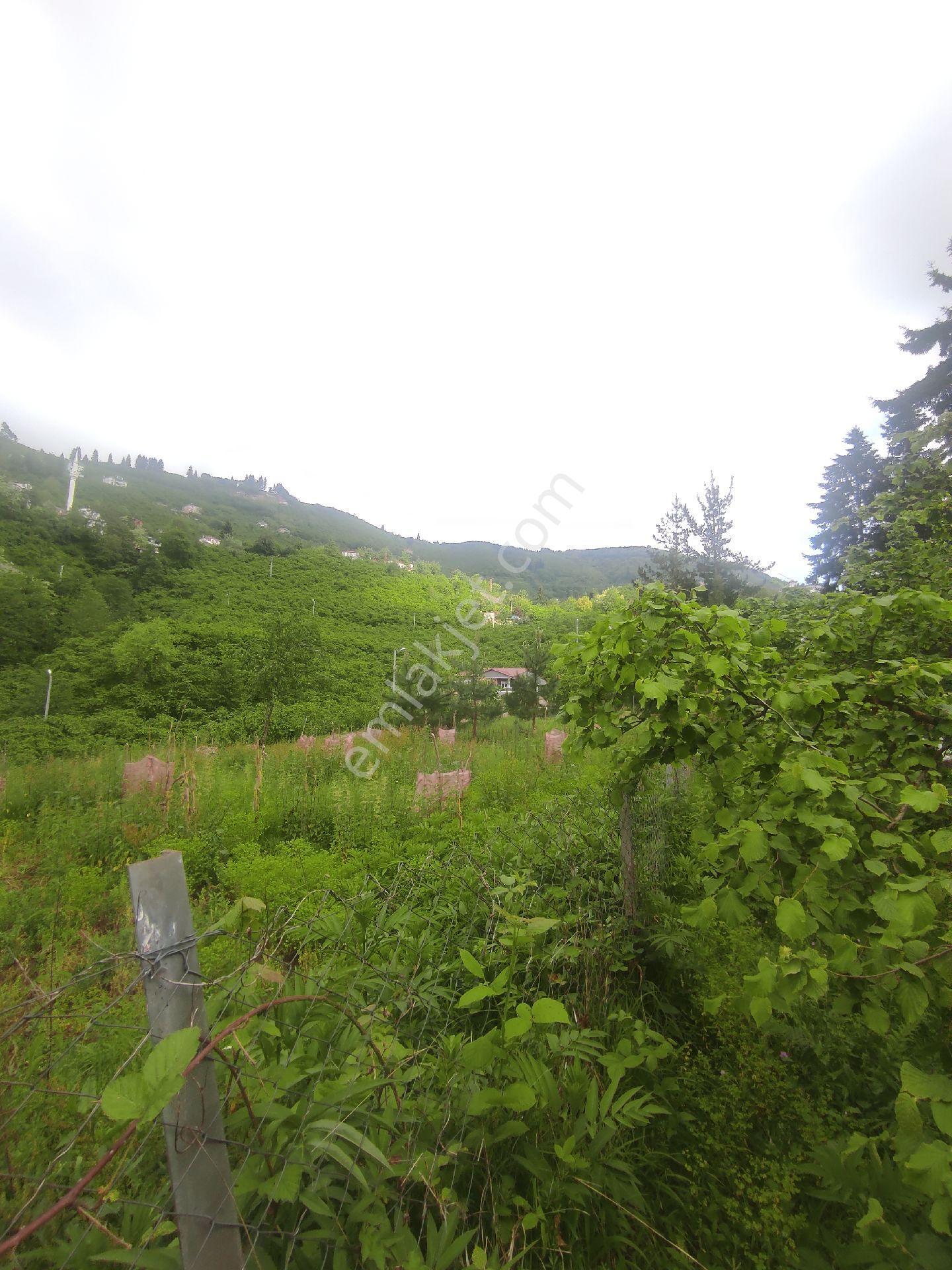 Trabzon Geçit Köyünde Satılık 1.320 M2 Arazi, - Görsel 7