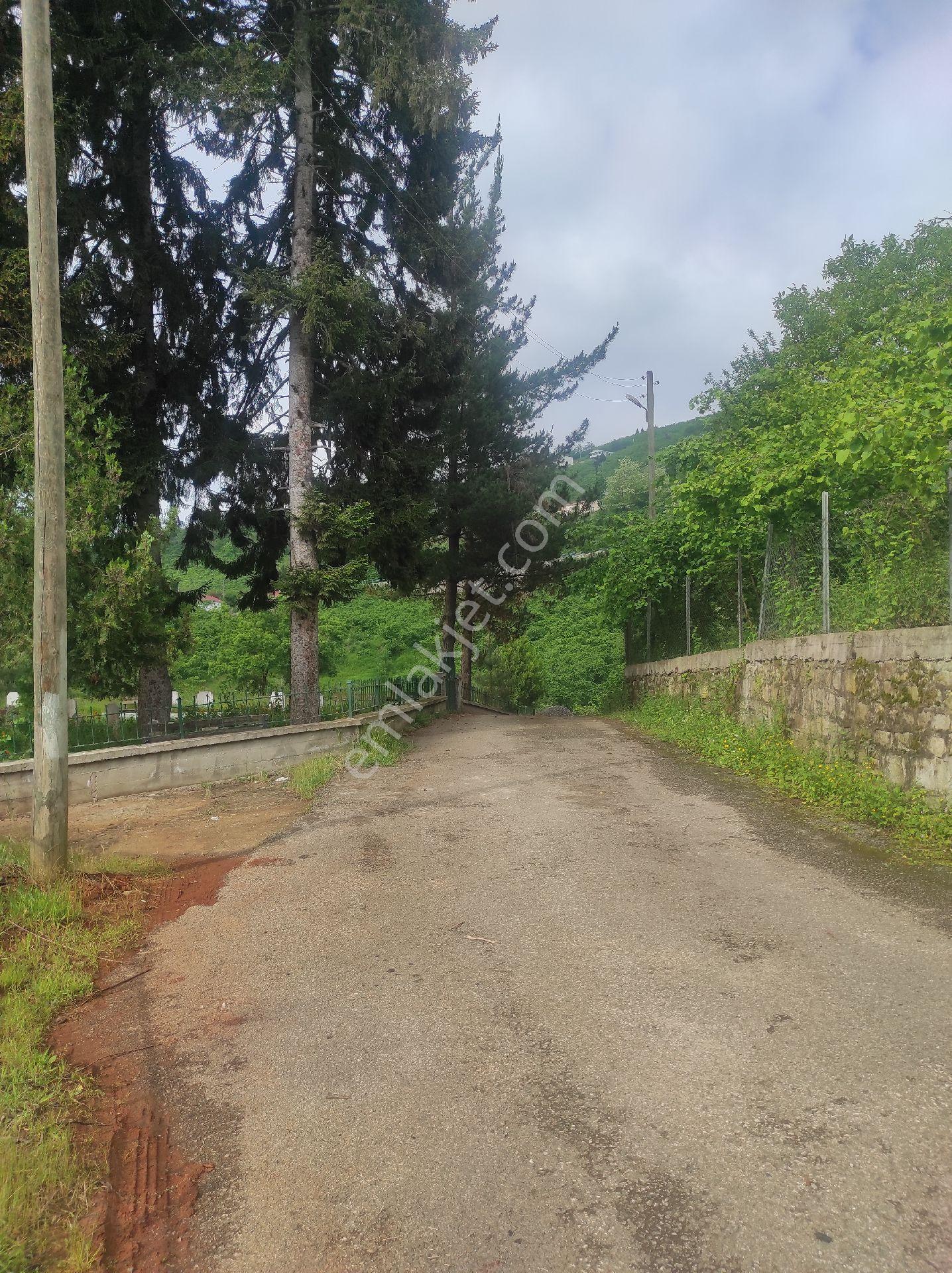 Trabzon Geçit Köyünde Satılık 1.320 M2 Arazi, - Görsel 4