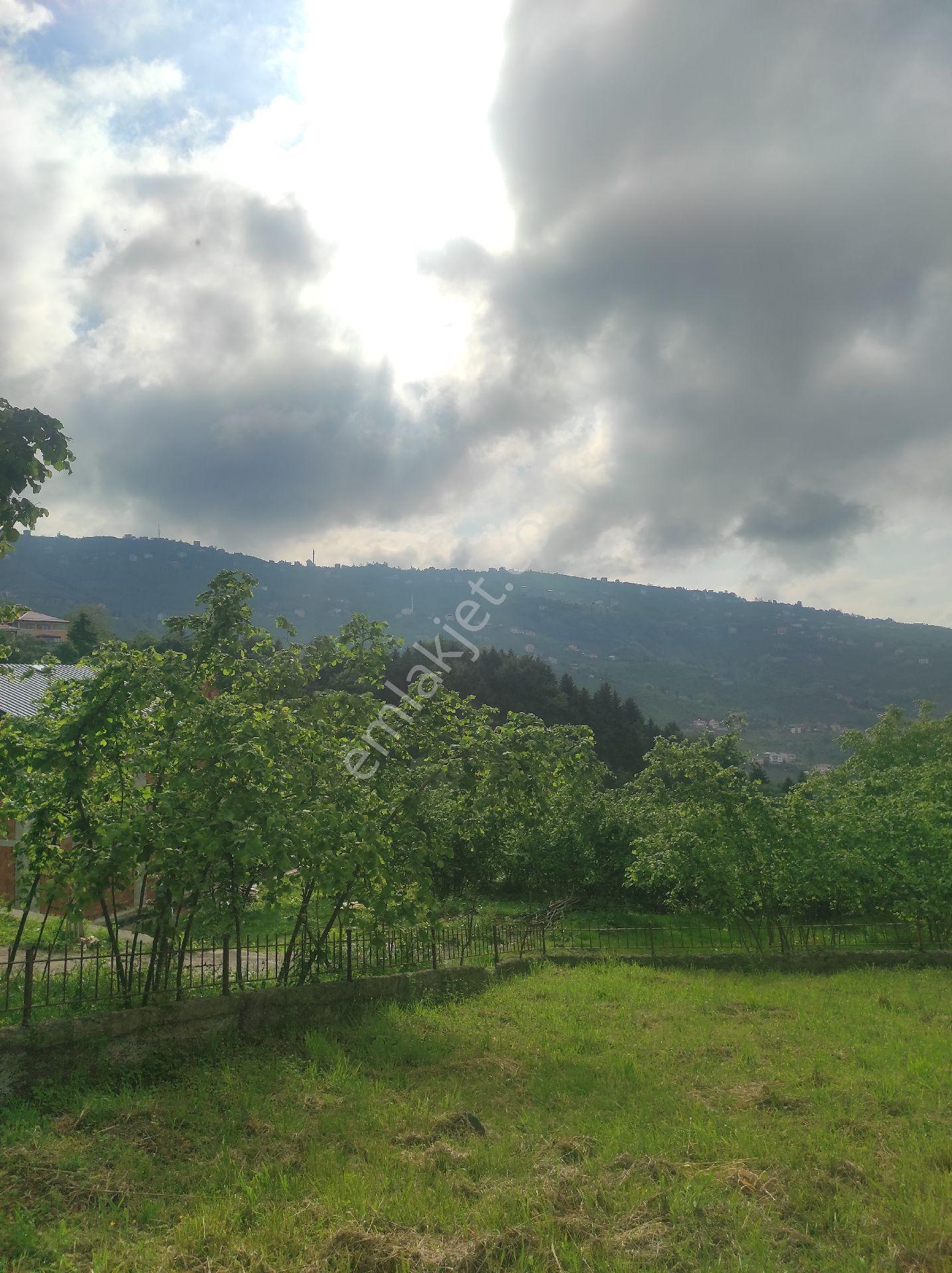 Trabzon Geçit Köyünde Satılık 1.320 M2 Arazi, - Görsel 5