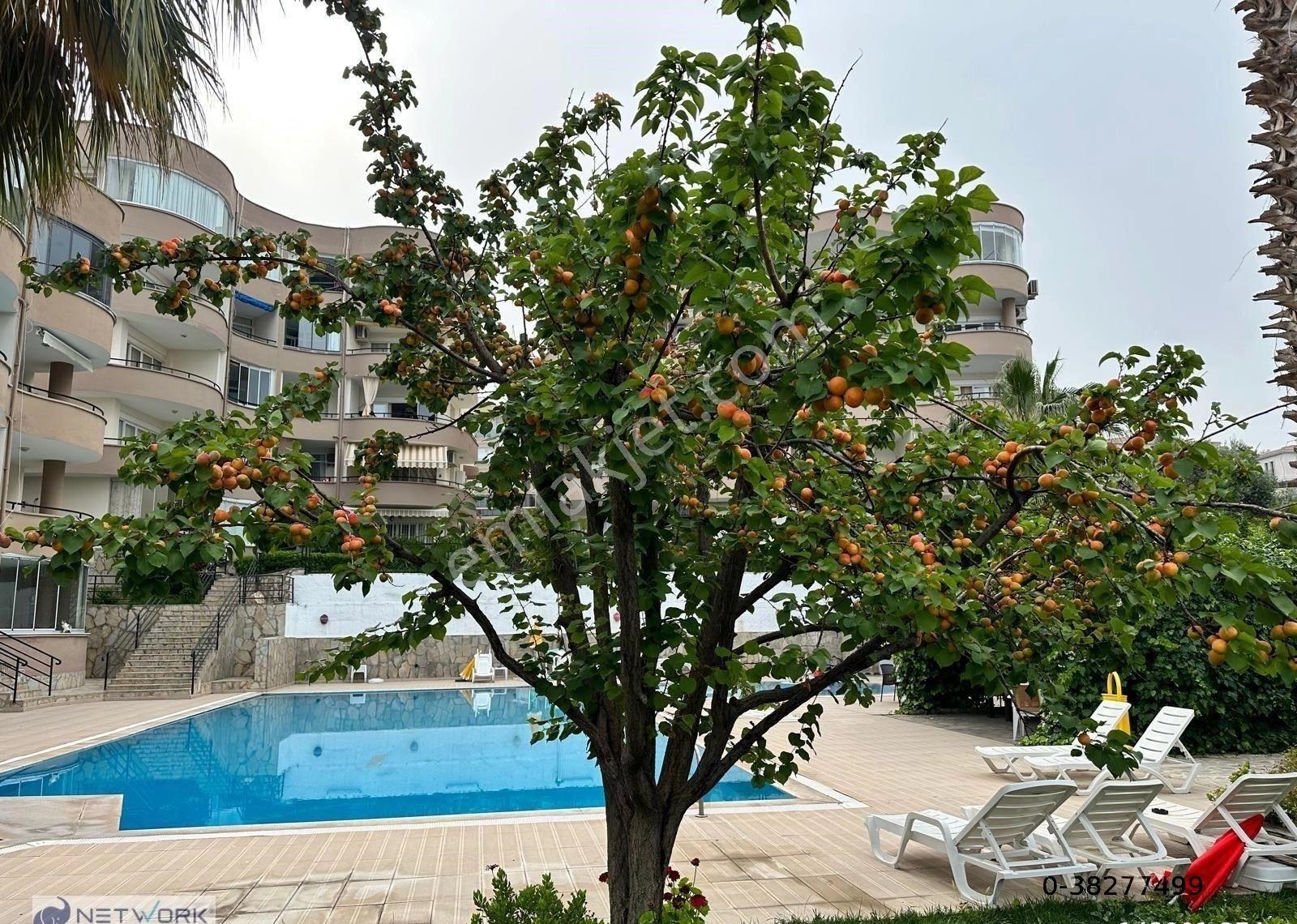 Kuşadası Marina Bölgesinde Önü Açık Manzaralı 2+1 Daire - Görsel 16