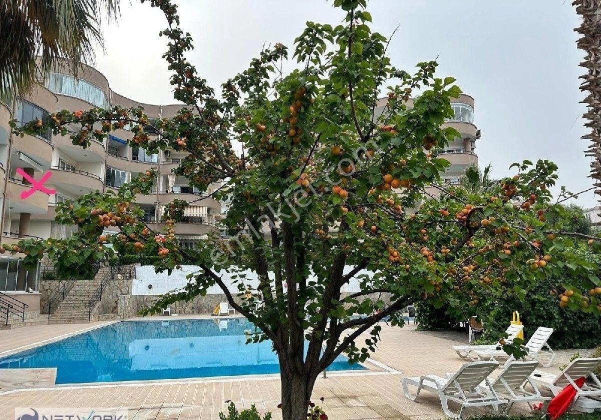 Kuşadası Akyar Mevkii 2+1 Havuzlu Sitede Daire - Görsel 8