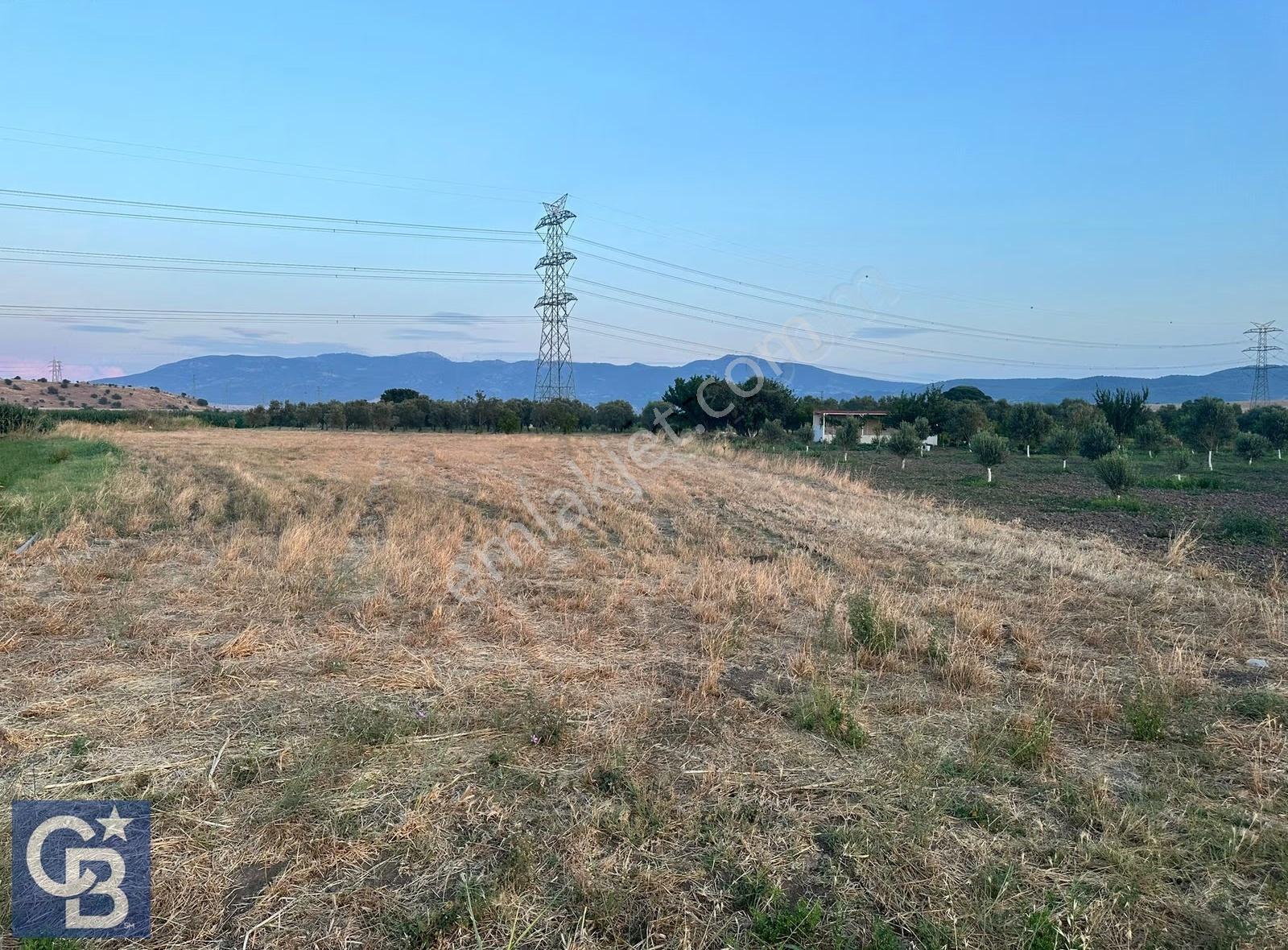 Aliağa Yalı Mah. Alosbi Kayaalanı Mevkii Satılık 2919 M2 Tarla