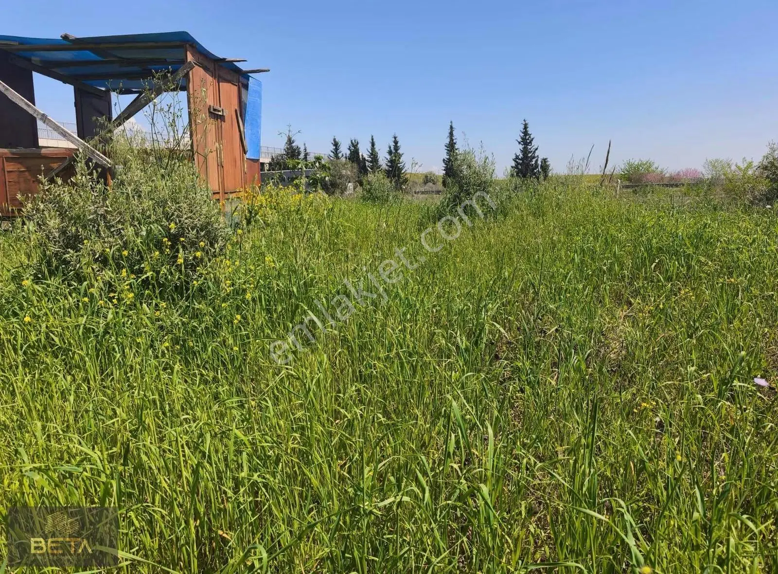 Tarsus Kadelli Mevkiinde 1562 Metre Tek Tapu Satılık Bahçe!!!