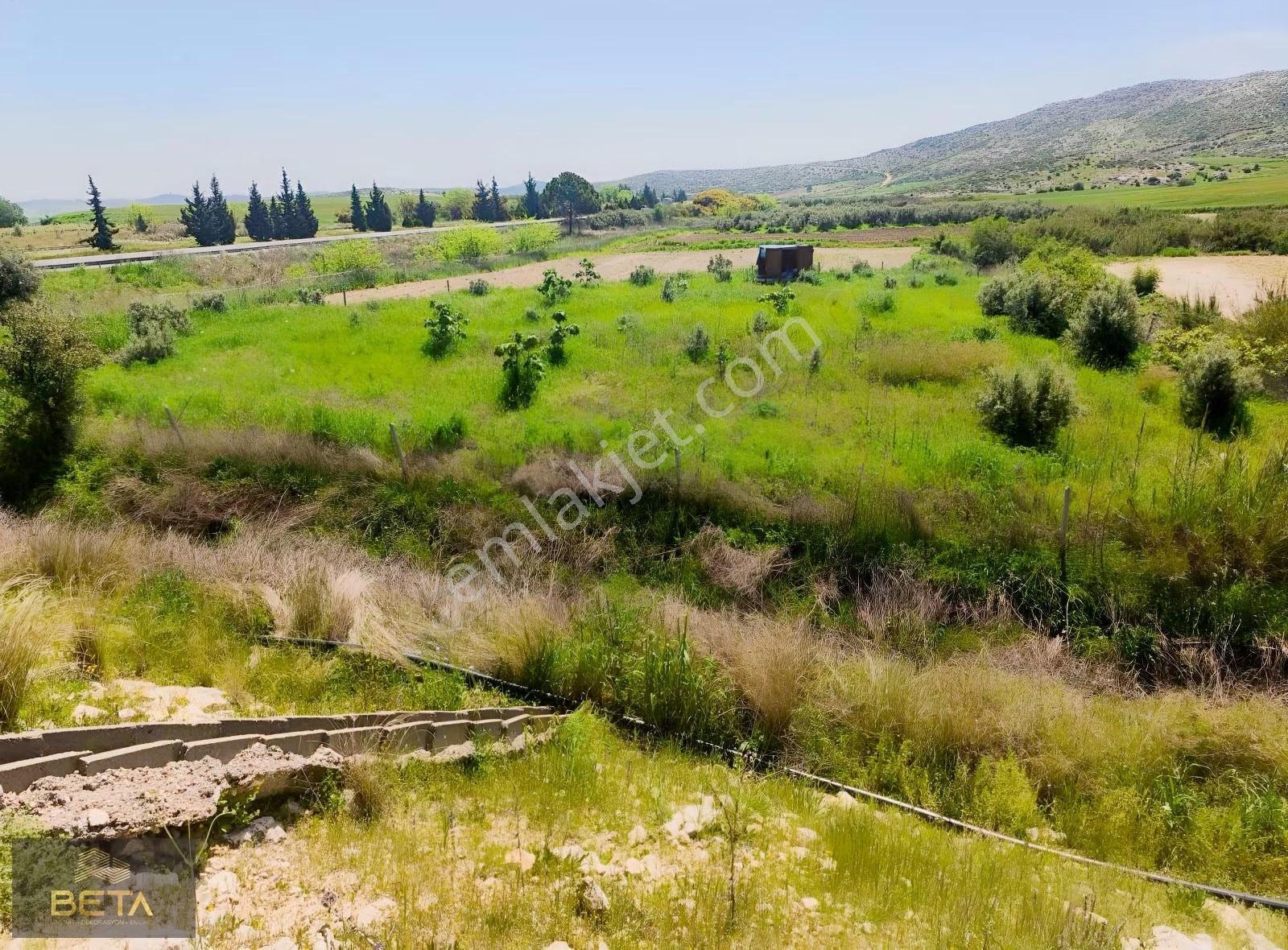 Tarsus Kadelli Mevkiinde 1562 Metre Tek Tapu Satılık Bahçe!!! - Görsel 7