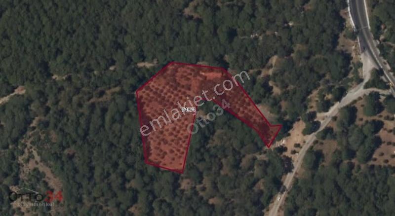 Fethiye Ovacık'ta İmarlı Özerk Komşusuz Çok Özel Bir Parsel - Görsel 3