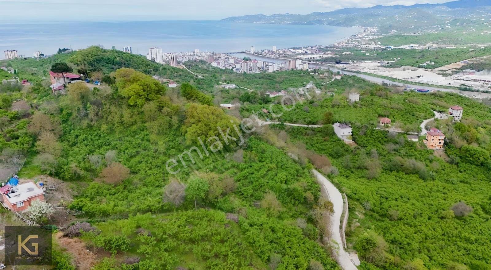 Hamlık Mahallesinde Full Deniz Ve Doğa Manzaralı Arazi - Görsel 11