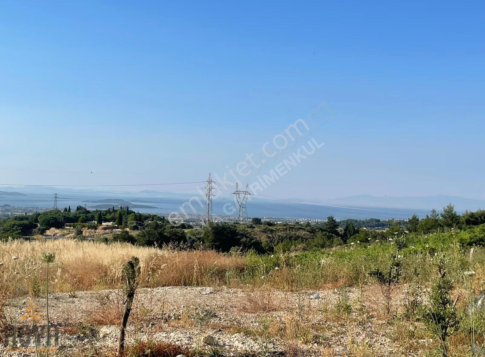 Urla Yenice'de Full Deniz Manzaralı/ İmar Sınırında/ Fırsat Arsa - Görsel 19