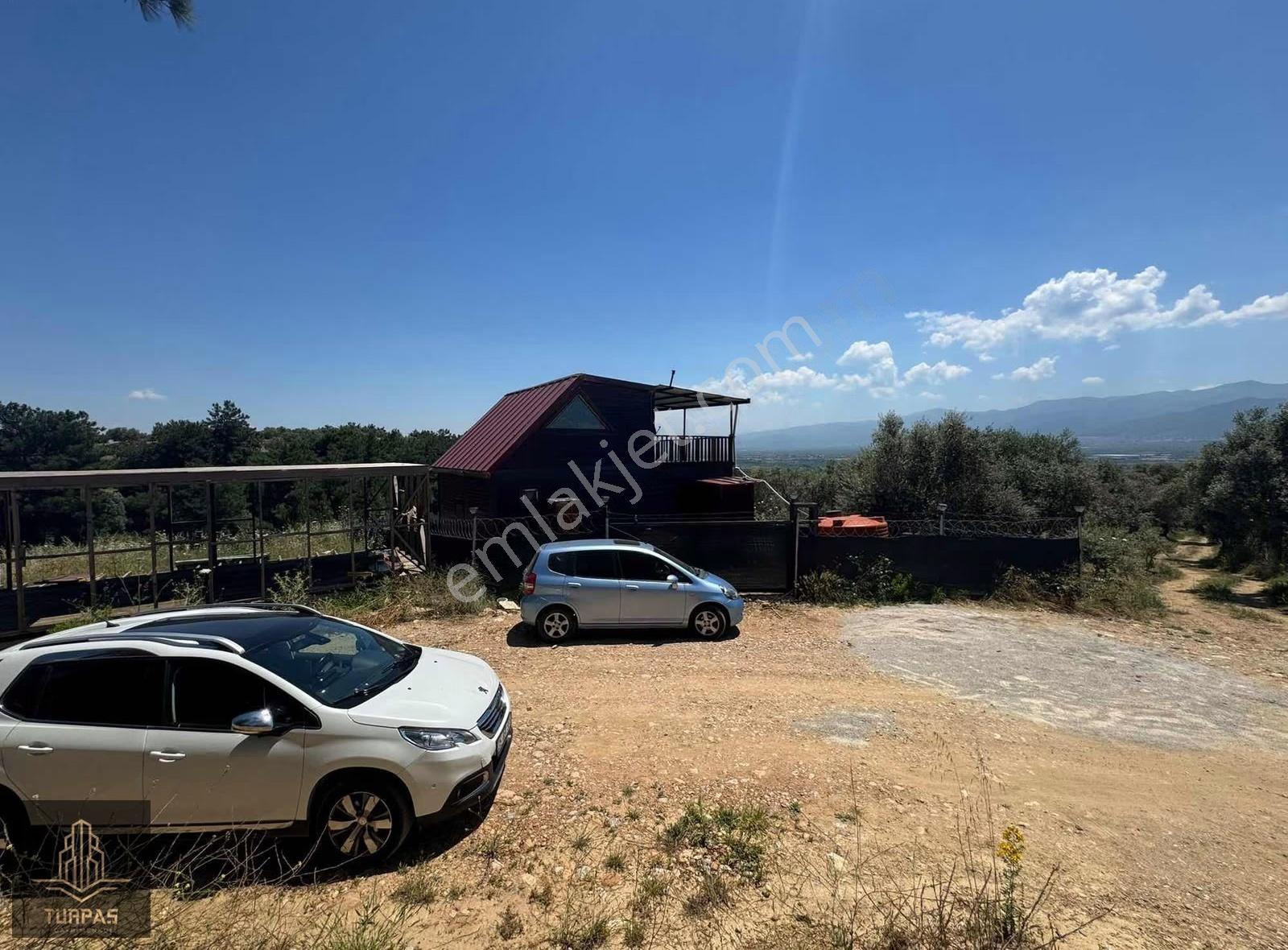 Türpaş'tan Satılık Fırsat Tarla - Görsel 18