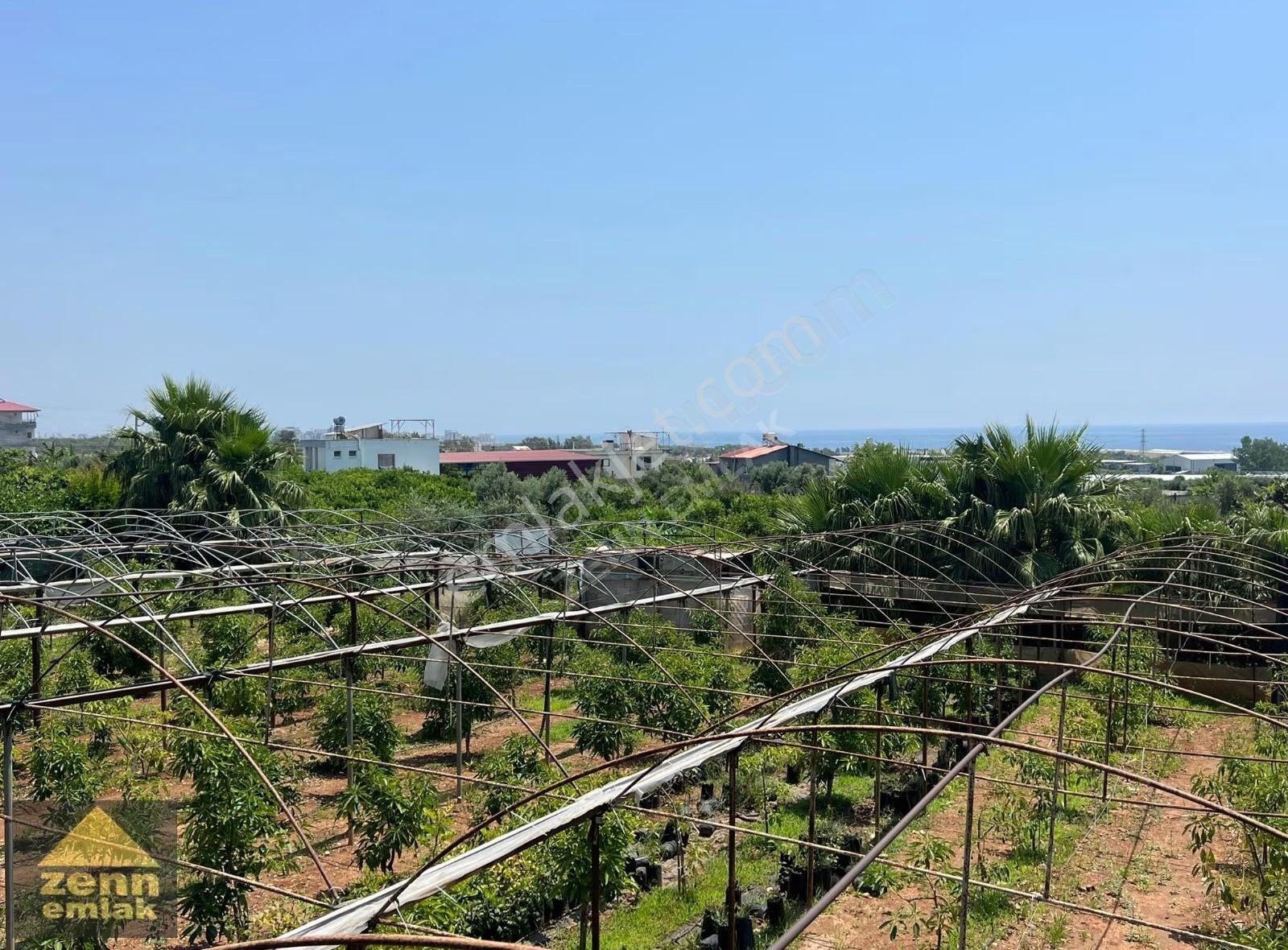 Mersin Erdemli De Satılık 514 M2 Satılık Tarla - Görsel 11